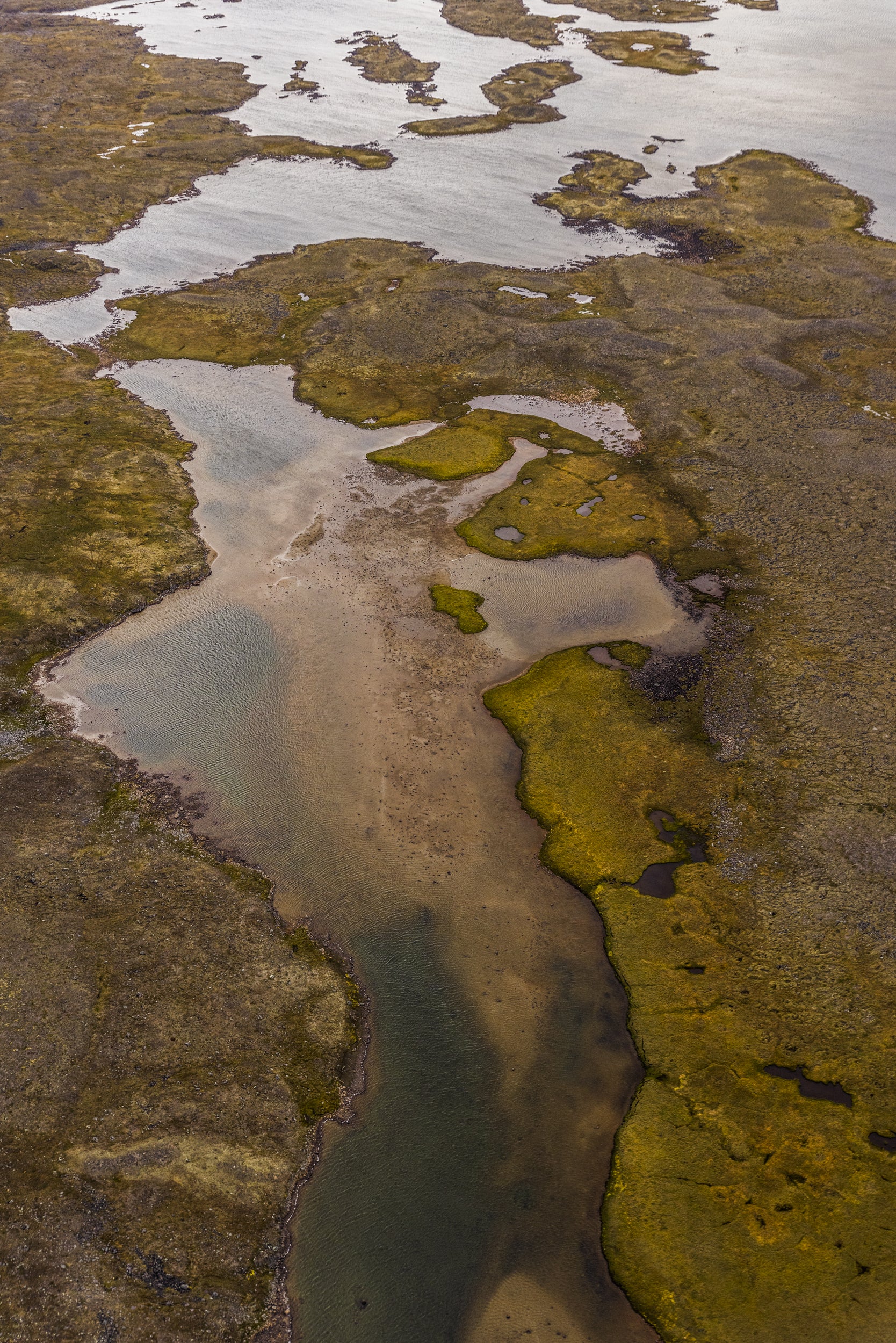 Nunavik Landscape - Summer 075
