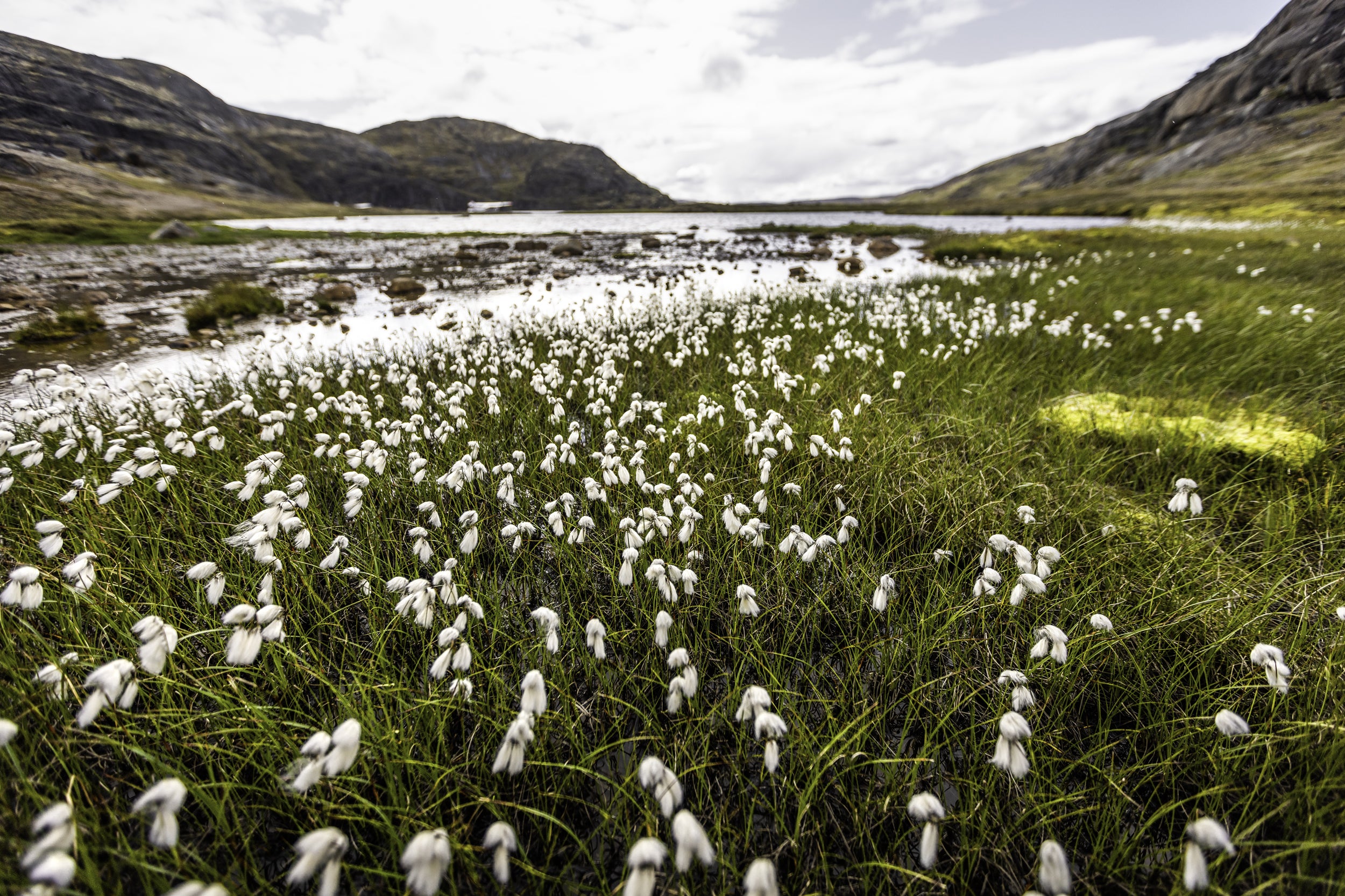 Nunavik Landscape - Summer 085