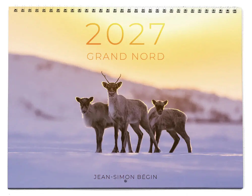 Calendrier régulier - Grand Nord Jean-Simon Bégin - Photographe Animalier et Artiste Peintre