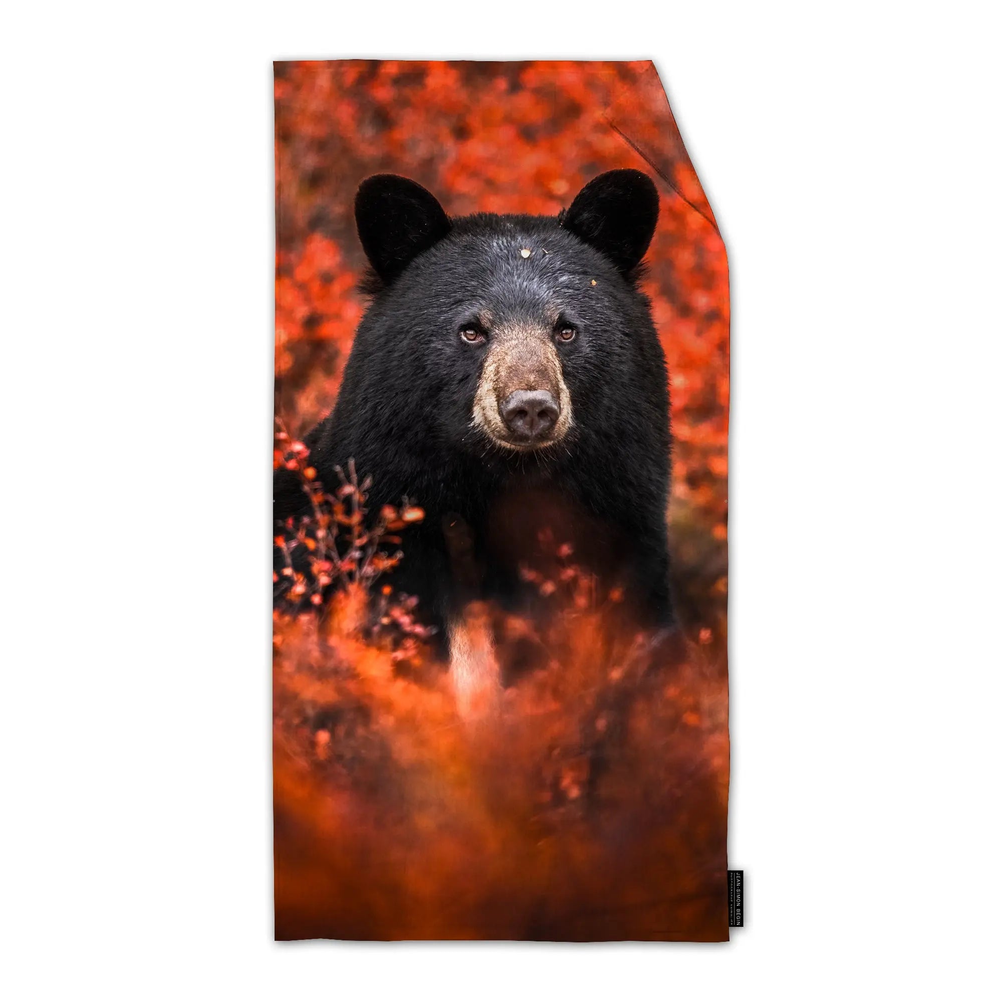 Serviette en microfibre - Ours noir Jean-Simon Bégin - Photographe Animalier et Artiste Peintre