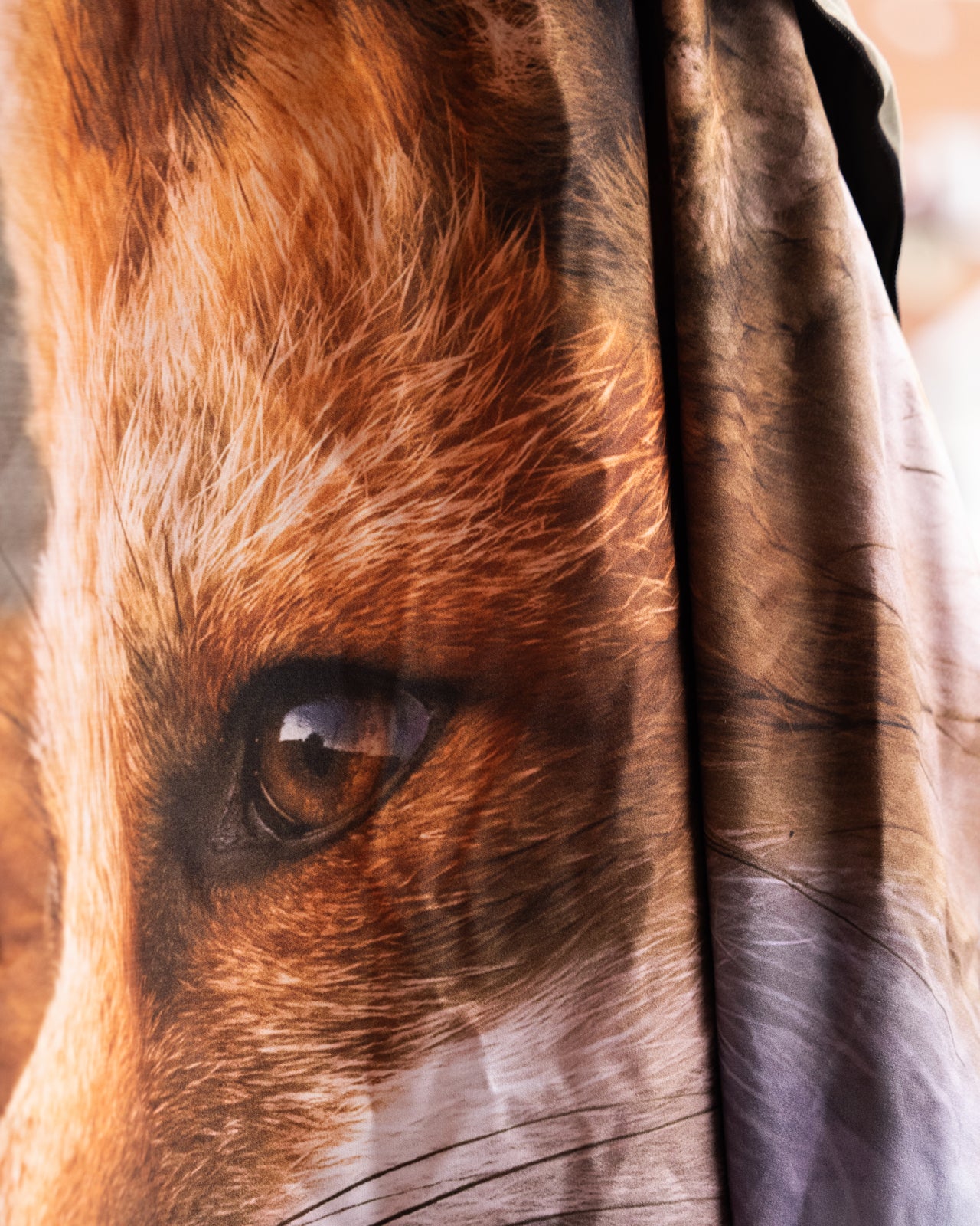 Serviette en microfibre - Renard des forêts Jean-Simon Bégin - Photographe Animalier et Artiste Peintre