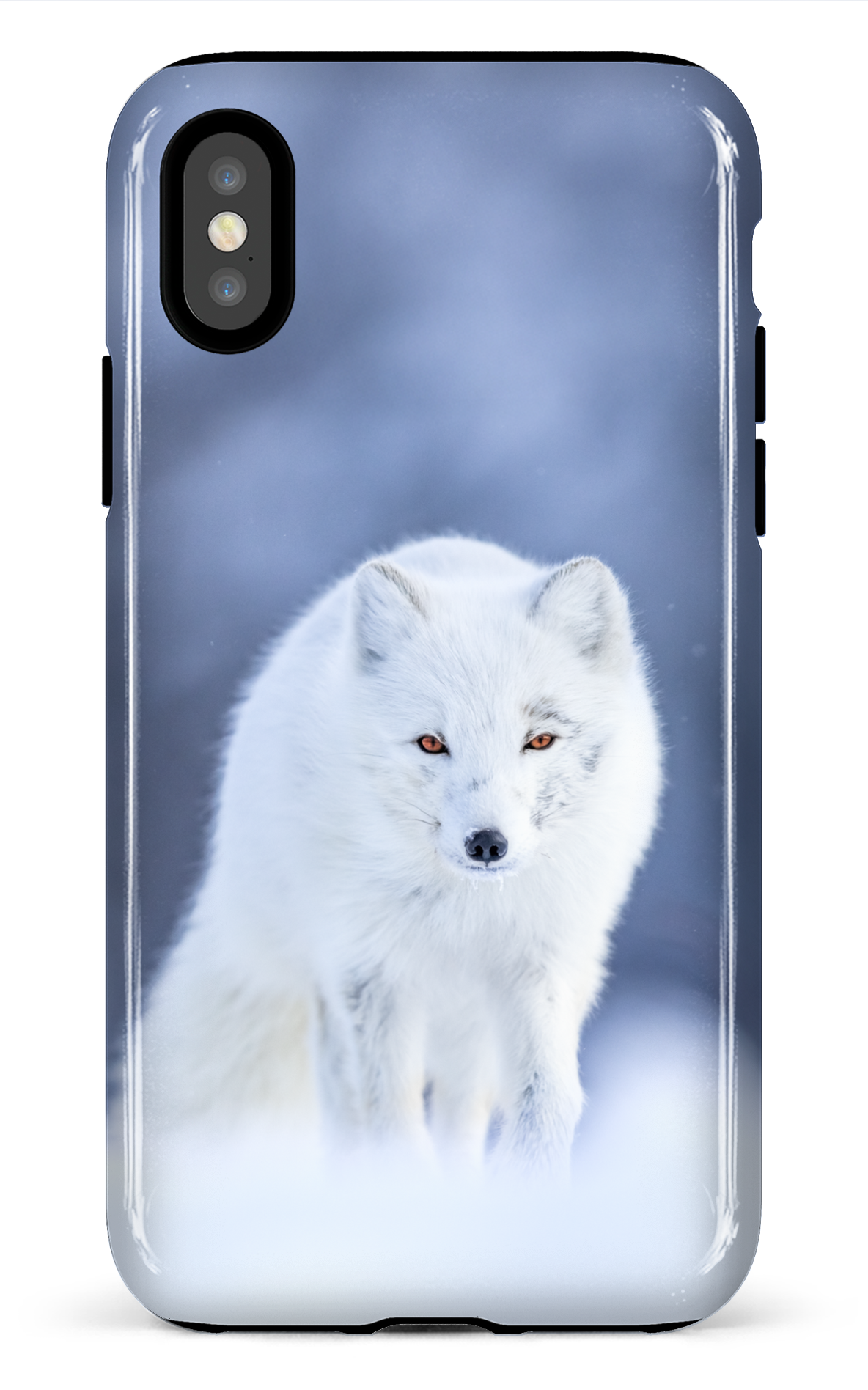 Arctique