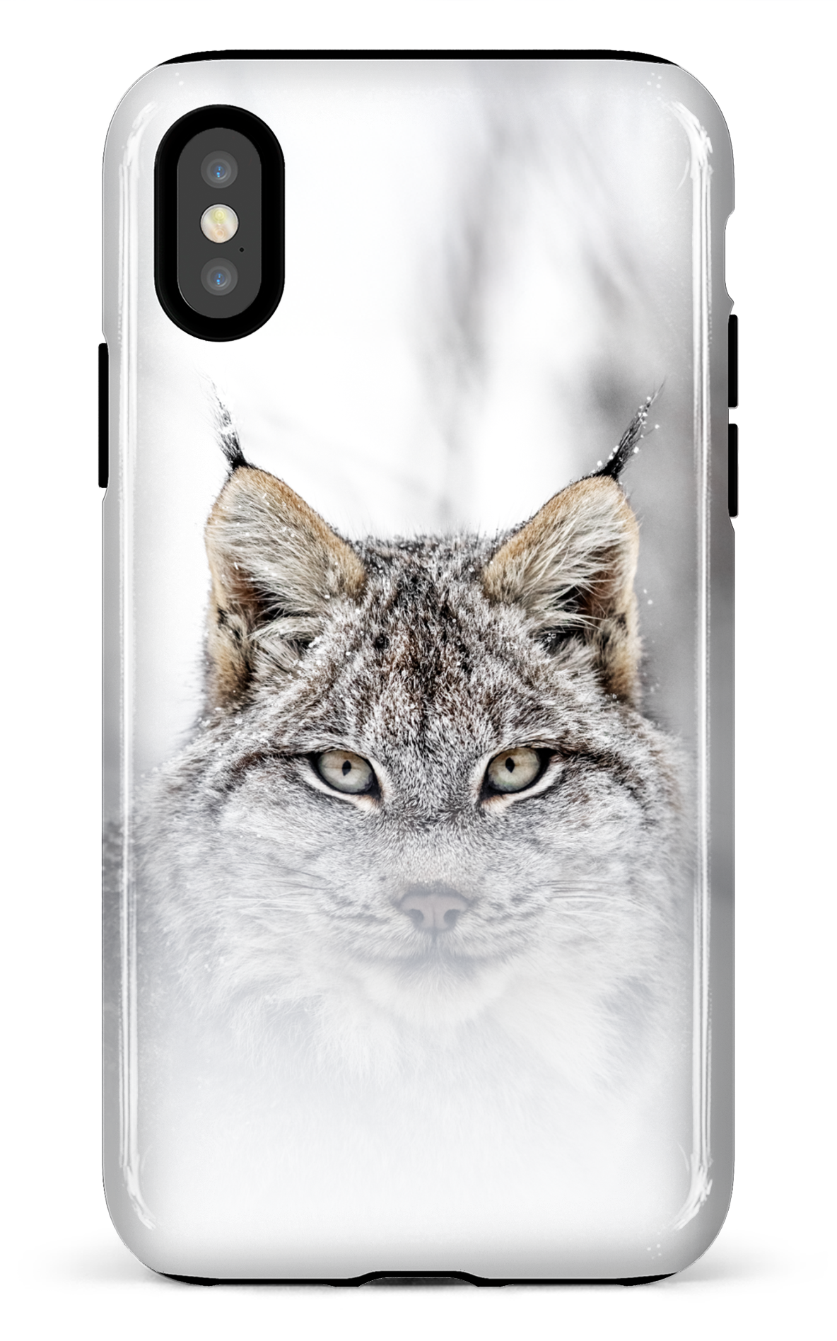 Le chat
