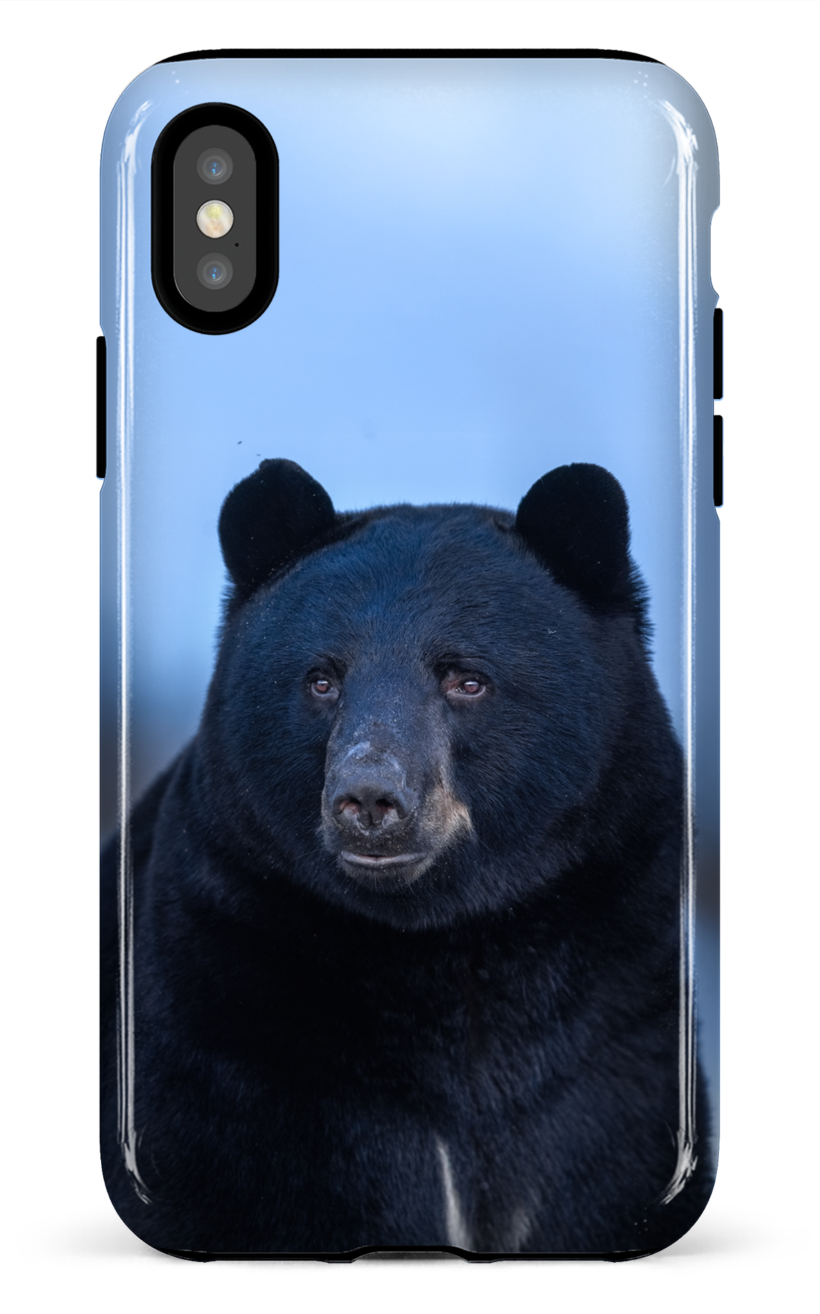 Ours bleu