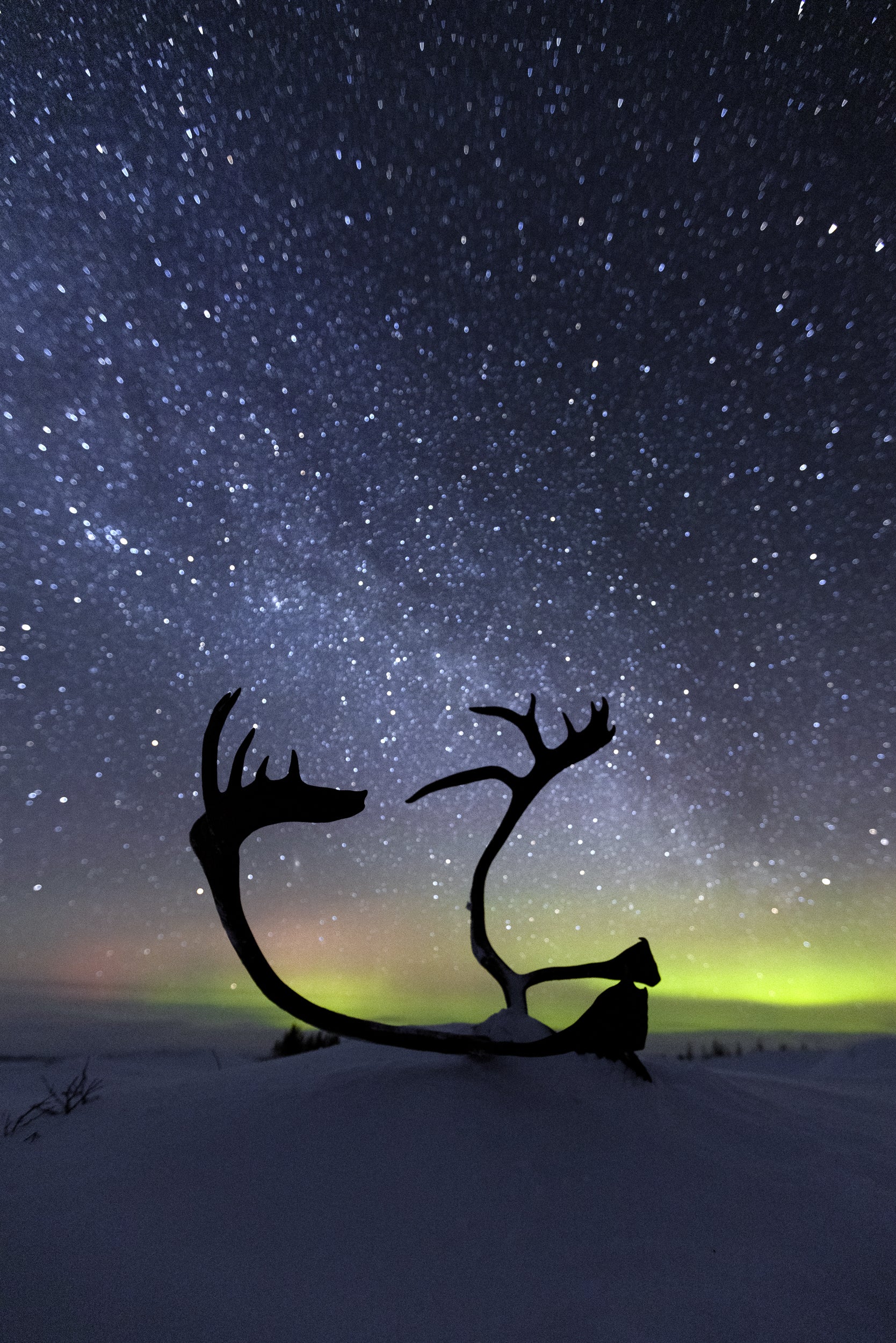 Aurora Borealis 018
