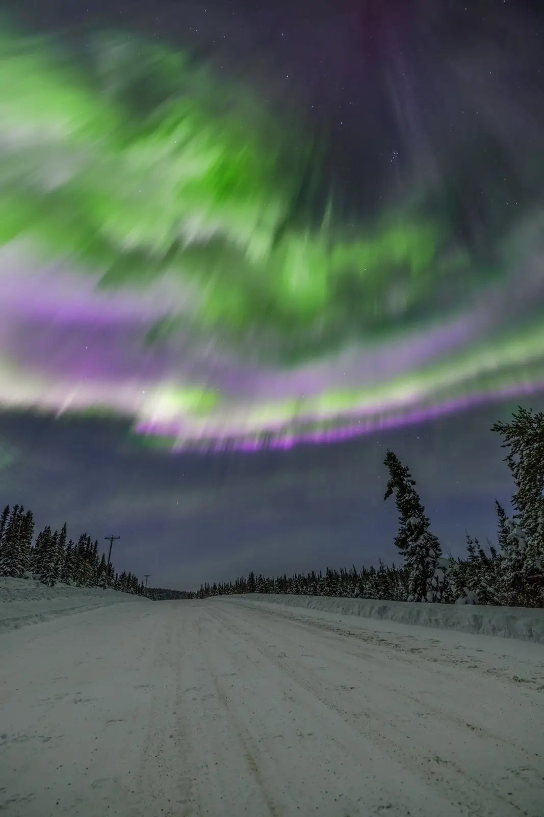 Aurore boréale 065 - Jean-Simon Bégin - Photographe Animalier et Artiste Peintre