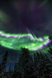 Aurore boréale 066 - Jean-Simon Bégin - Photographe Animalier et Artiste Peintre