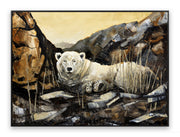 Avant que vienne le froid