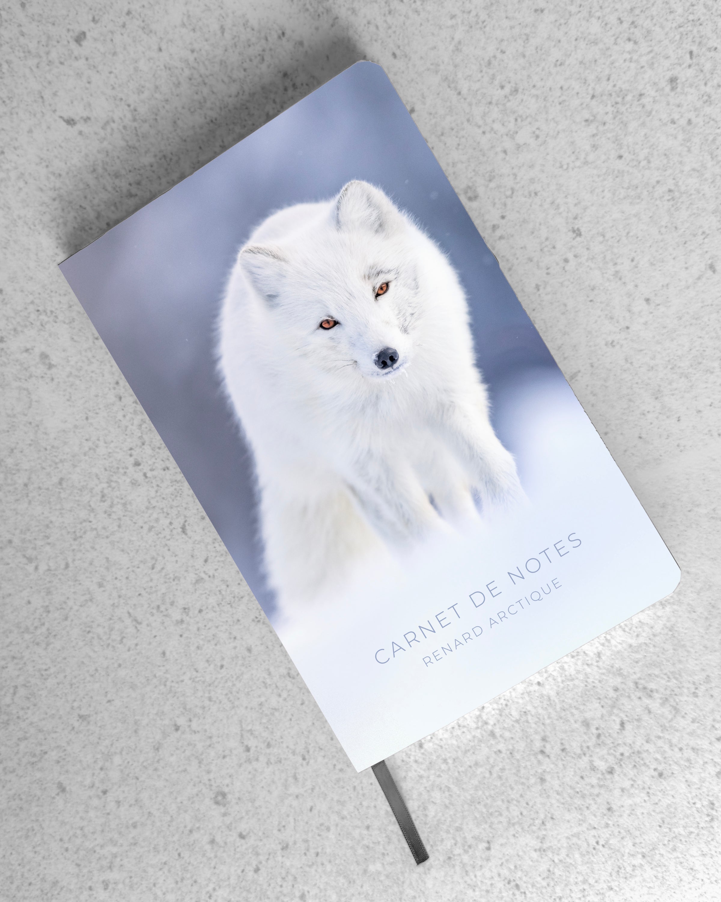 Cahier de notes - Renard arctique