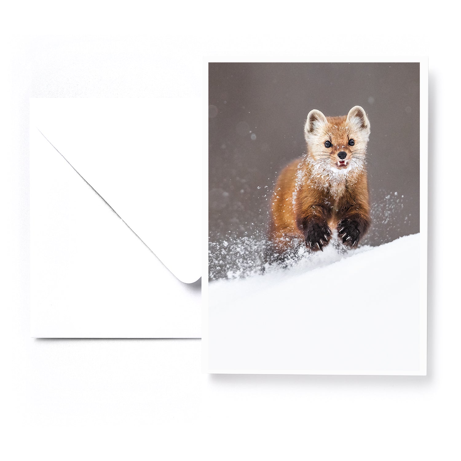 Set of 5 greeting cards - Boreal