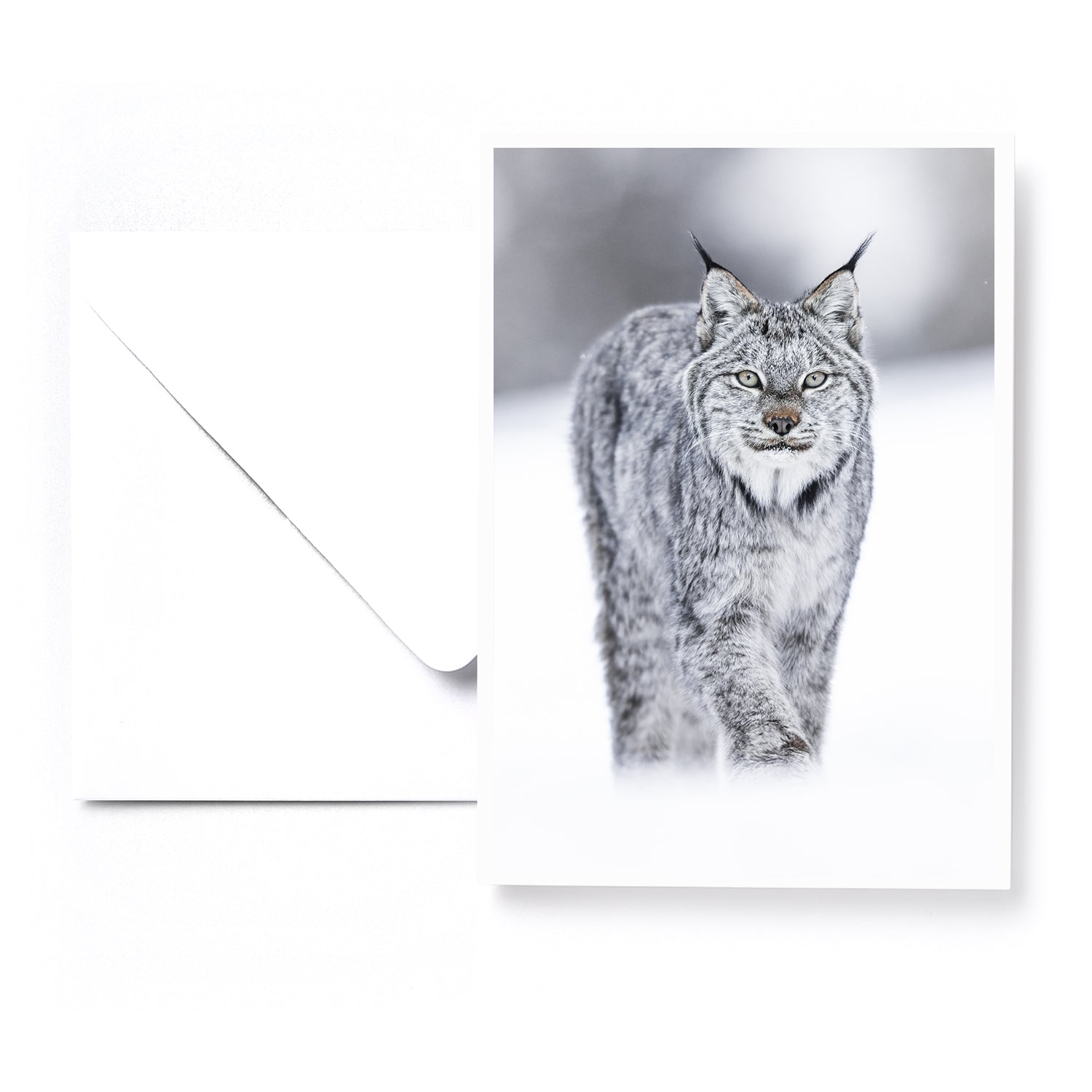 Set of 5 greeting cards - Boreal
