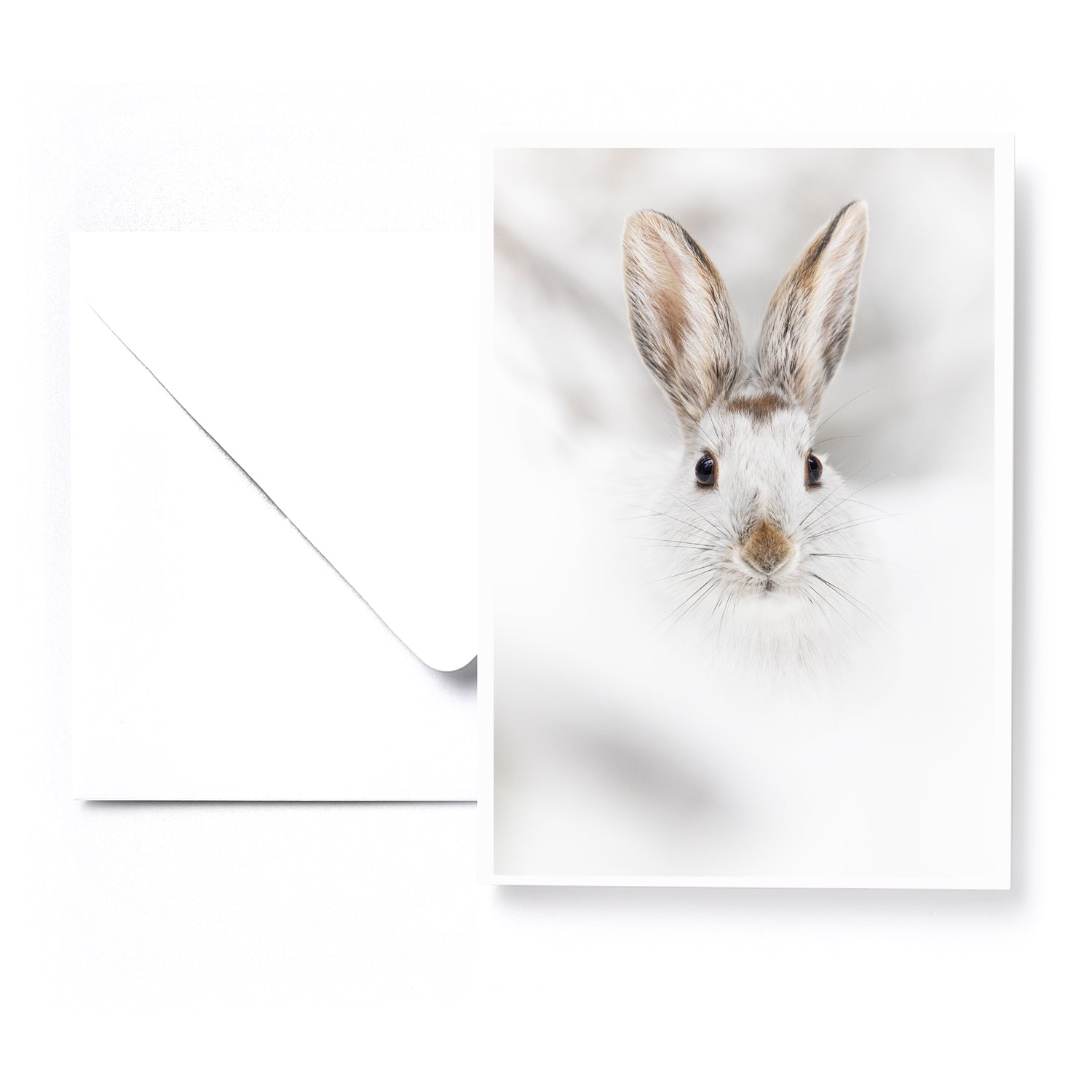 Set of 5 greeting cards - Boreal