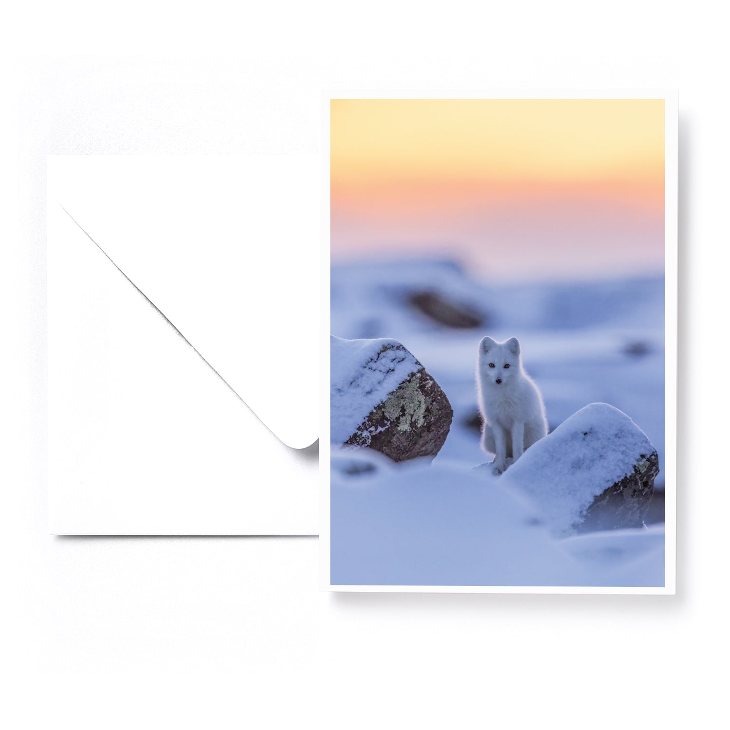 Set of 5 greeting cards - Arctic Winter