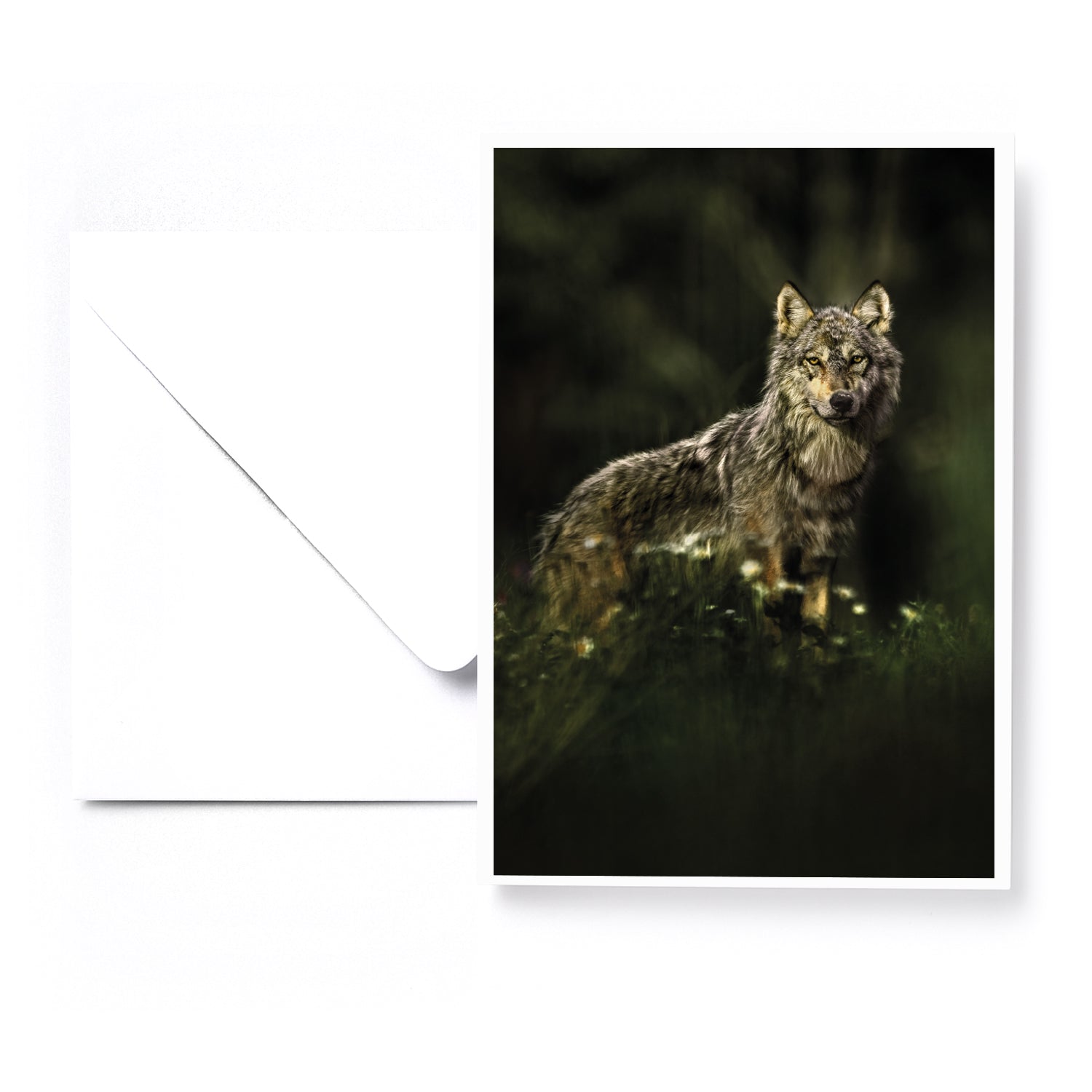 Set of 5 greeting cards - Canines
