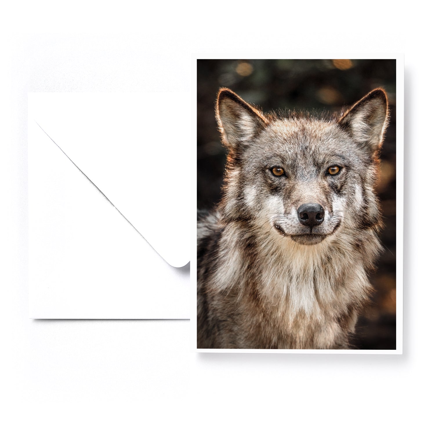 Set of 5 greeting cards - Canines