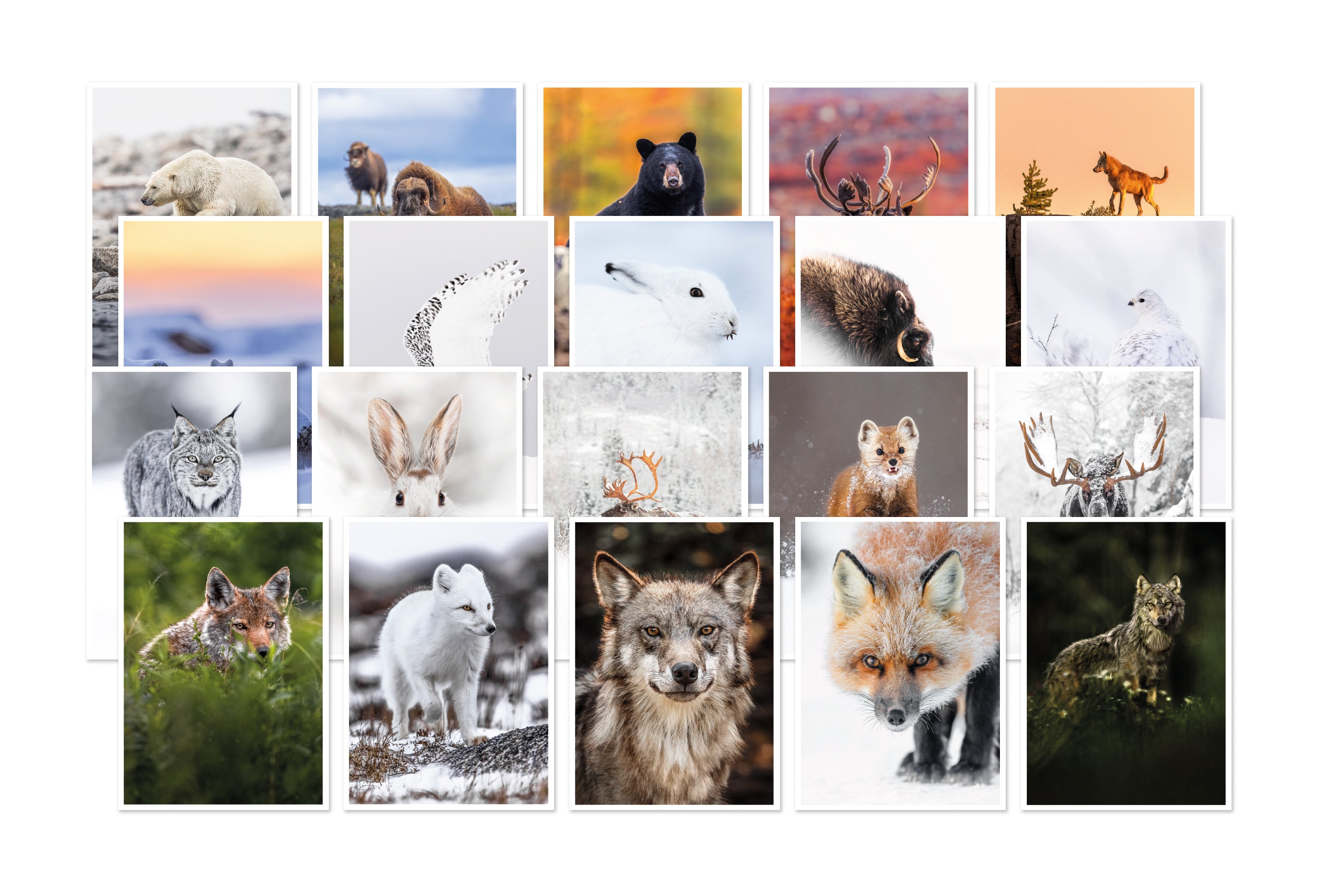 Set of 20 greeting cards
