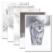 Set of 5 greeting cards - Boreal