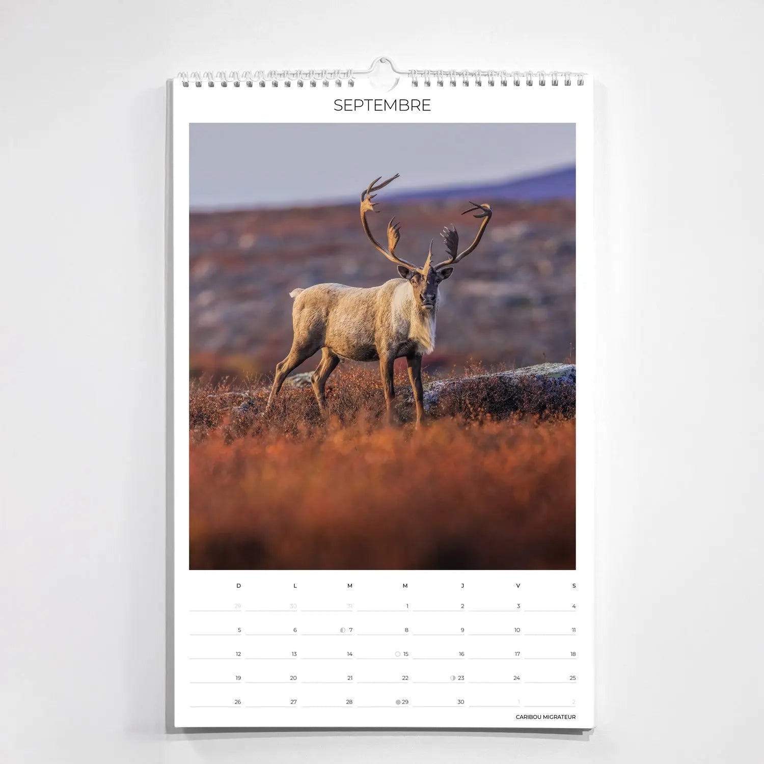 Calendrier collection - Grand Nord Jean-Simon Bégin - Photographe Animalier et Artiste Peintre