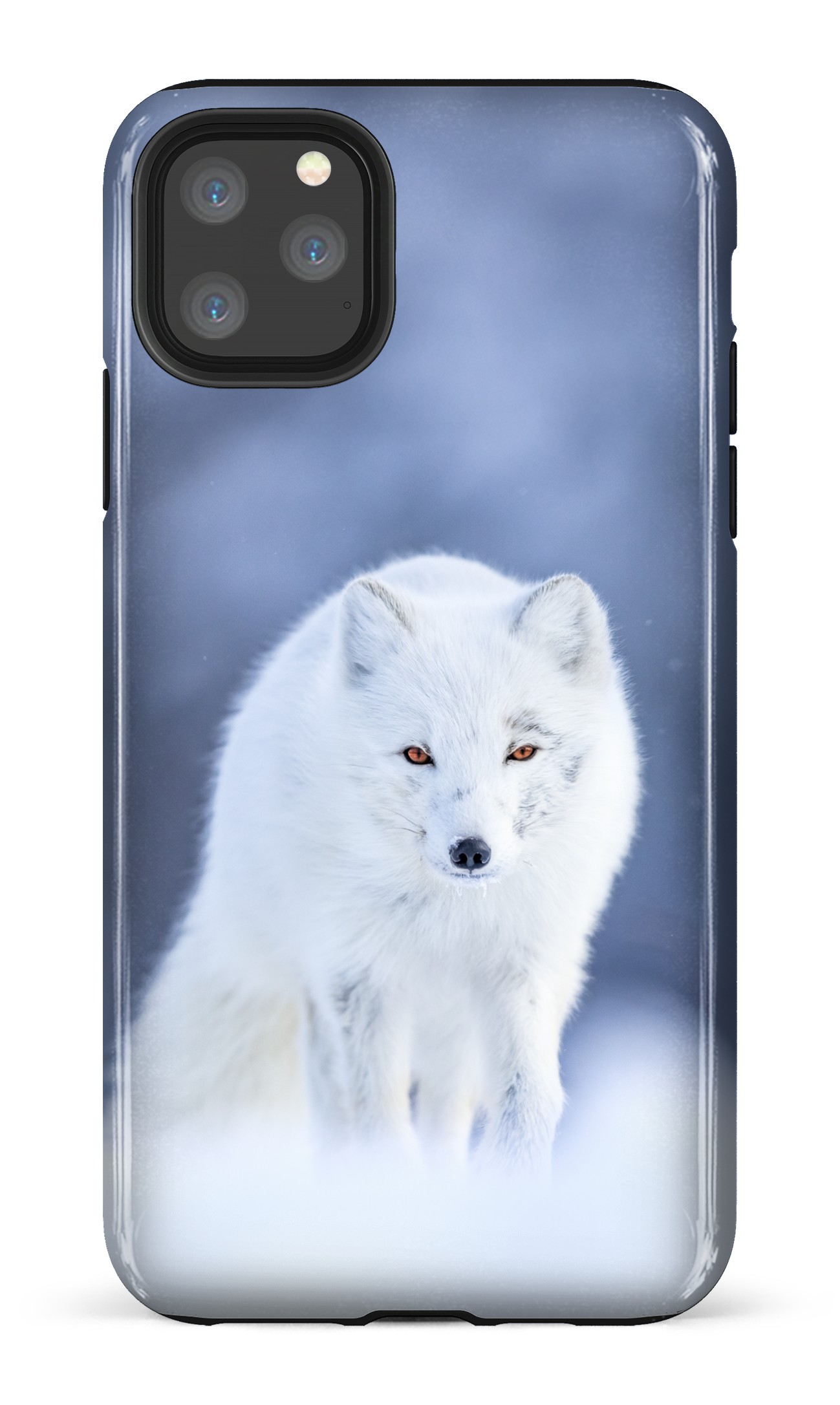 Arctique