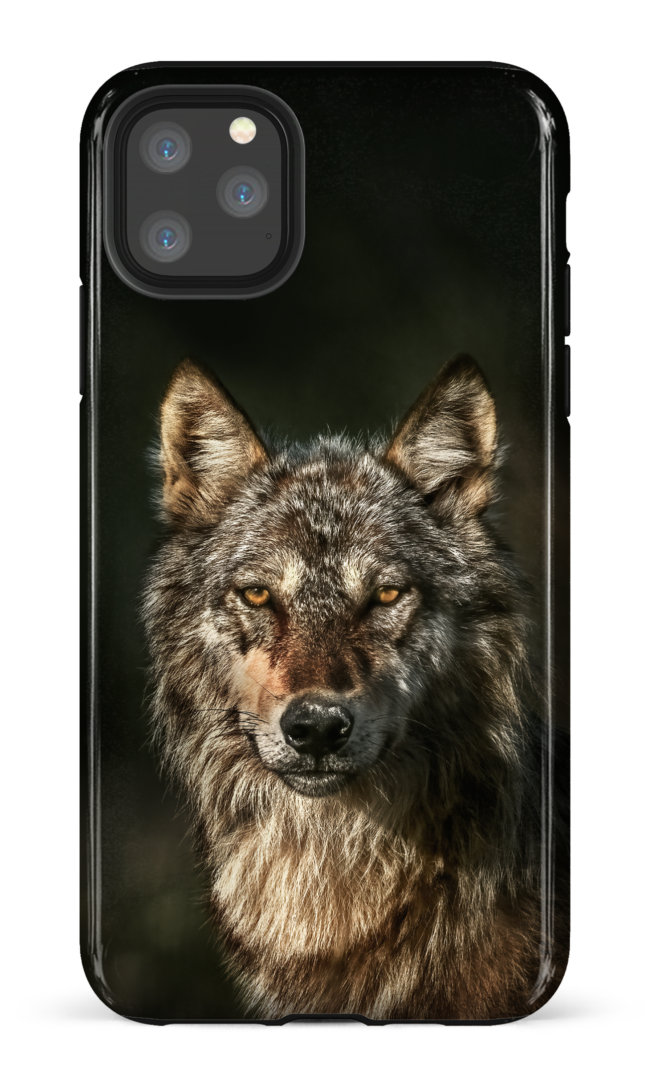 Loups