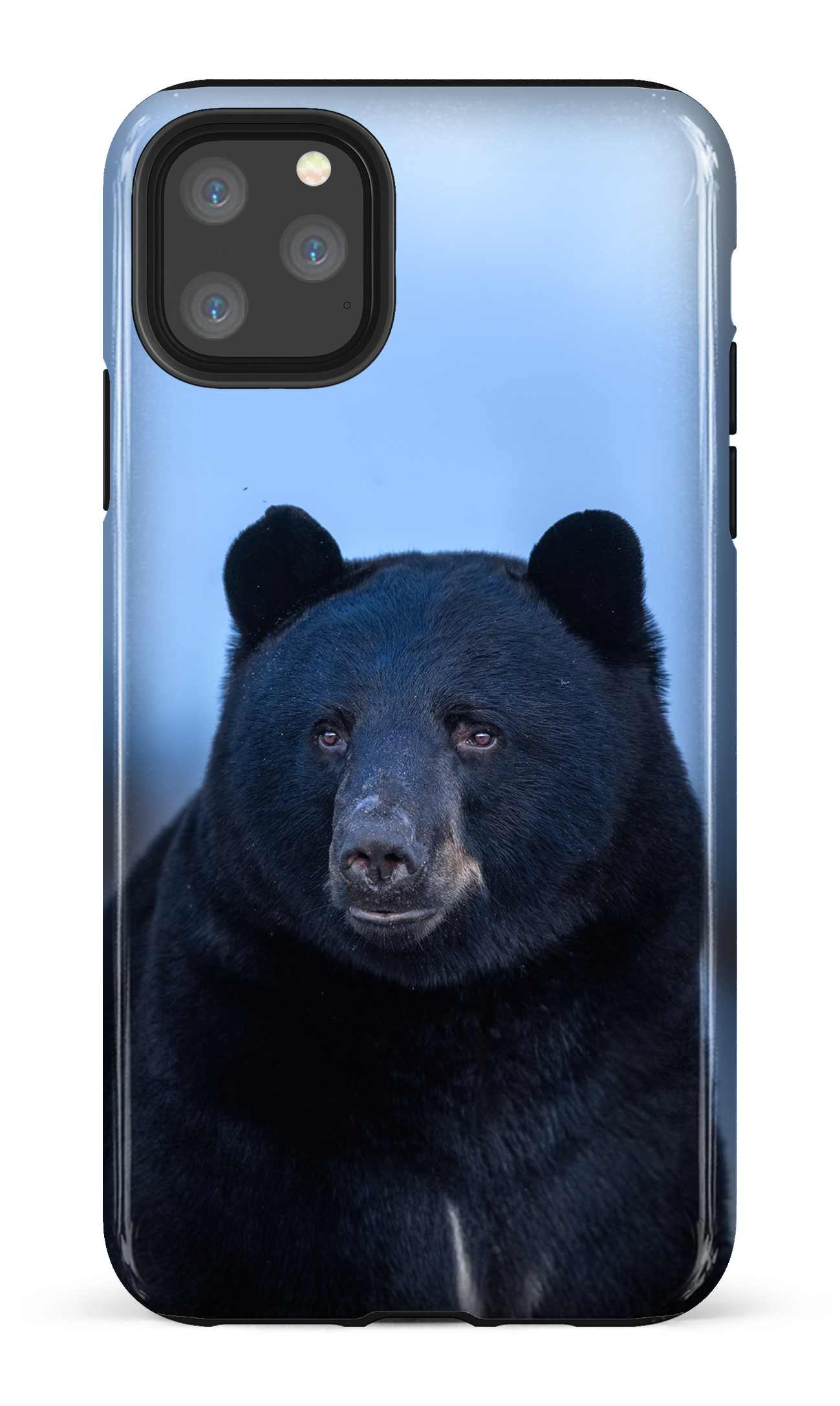 Ours bleu