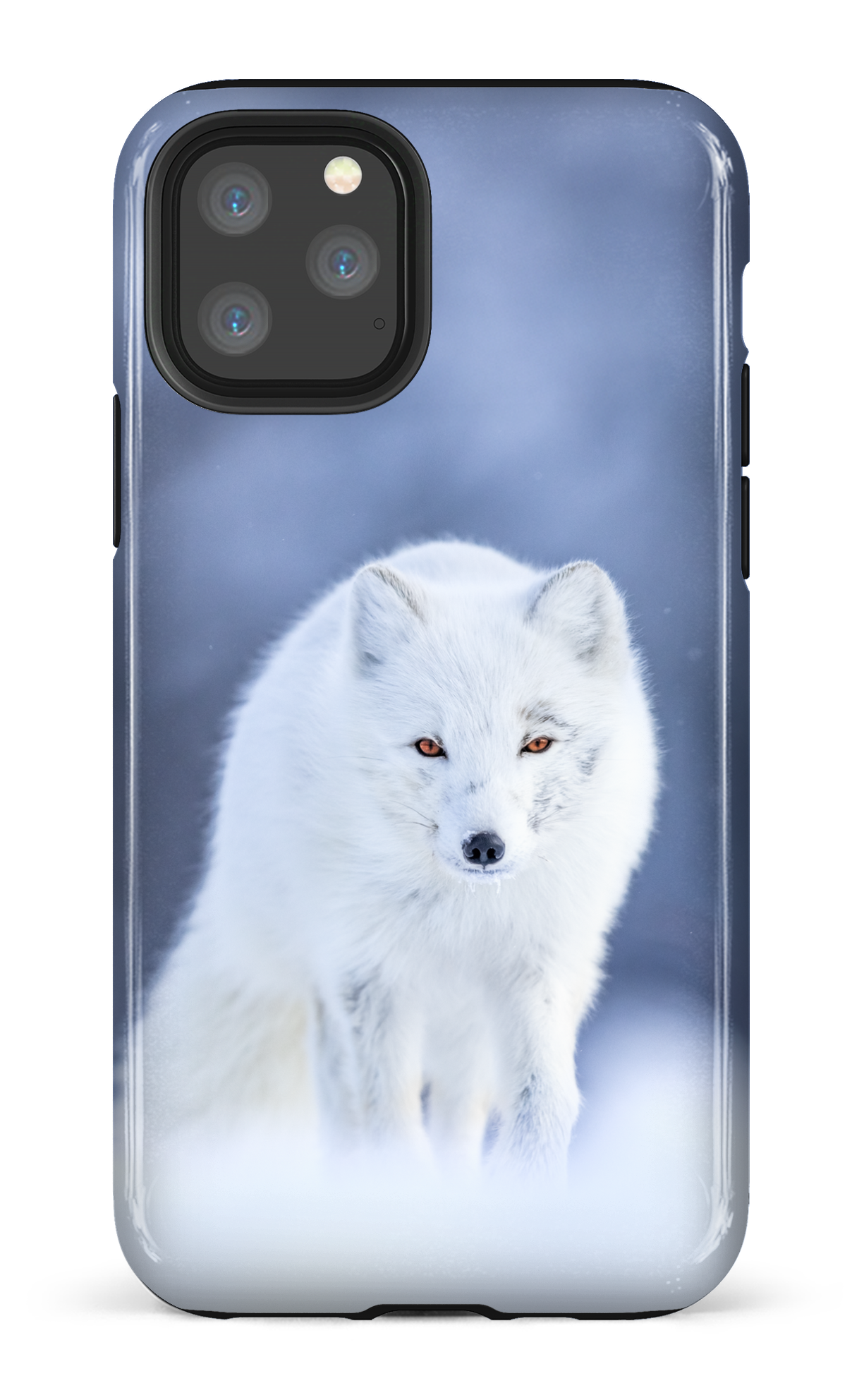 Arctique