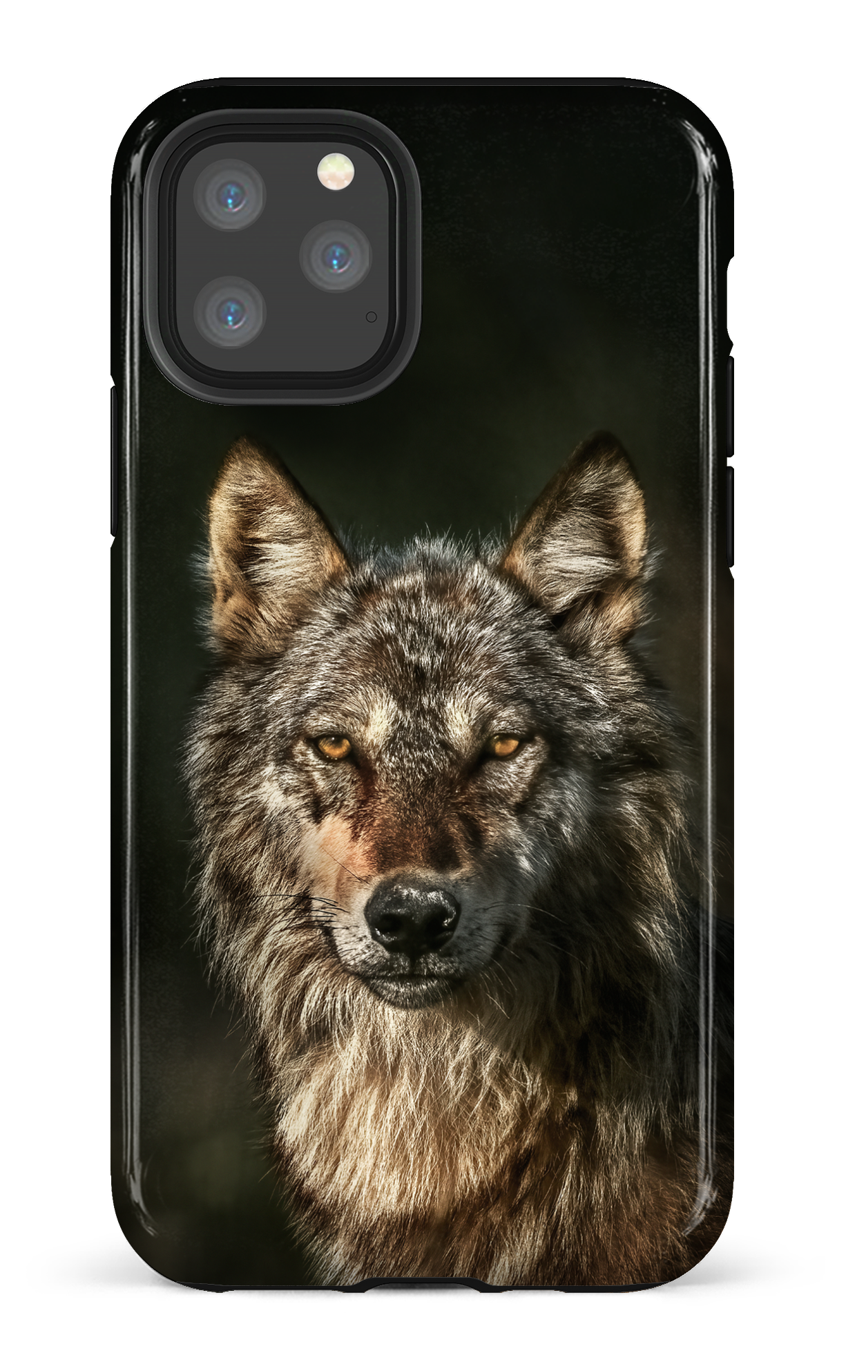 Loups