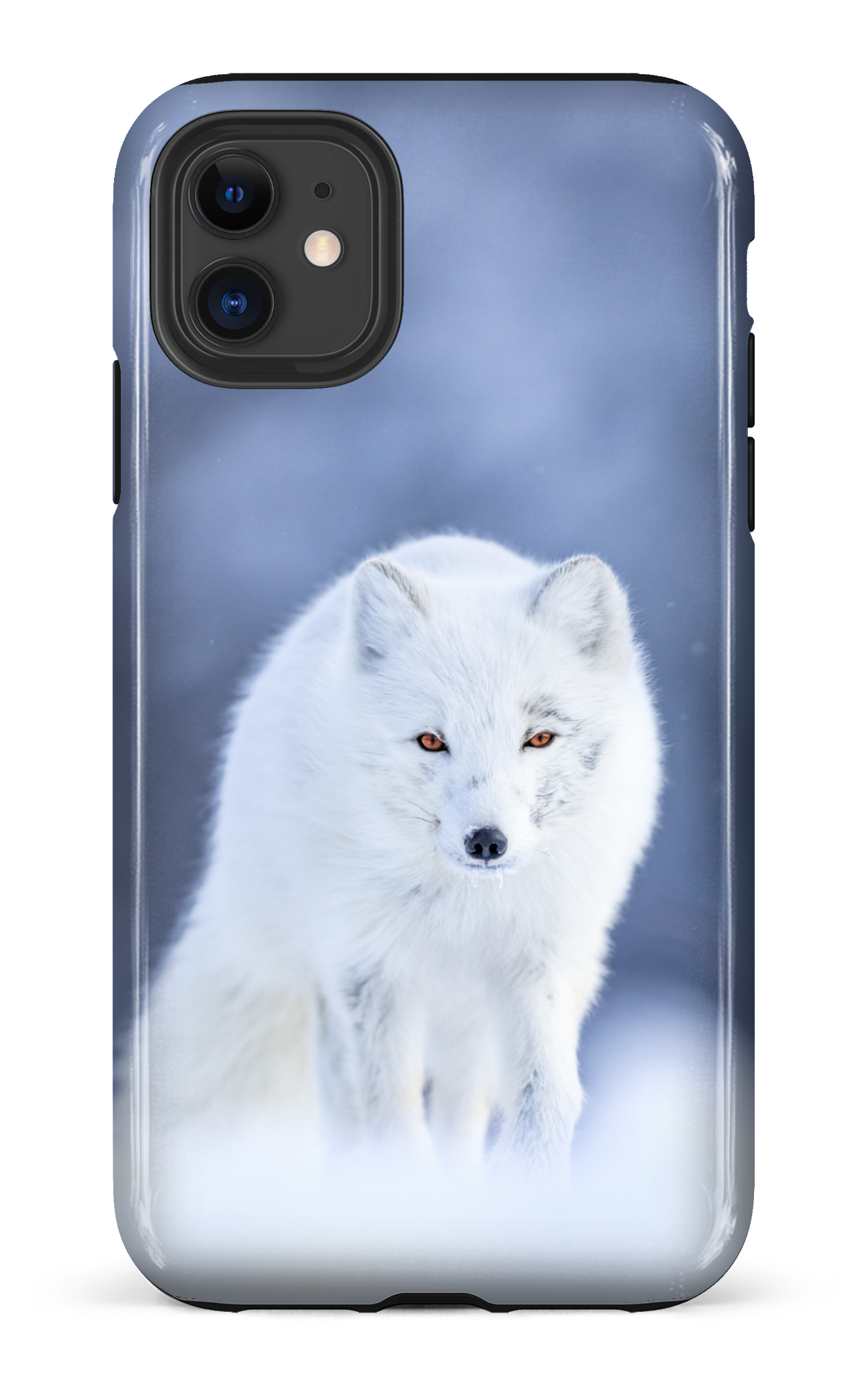Arctique