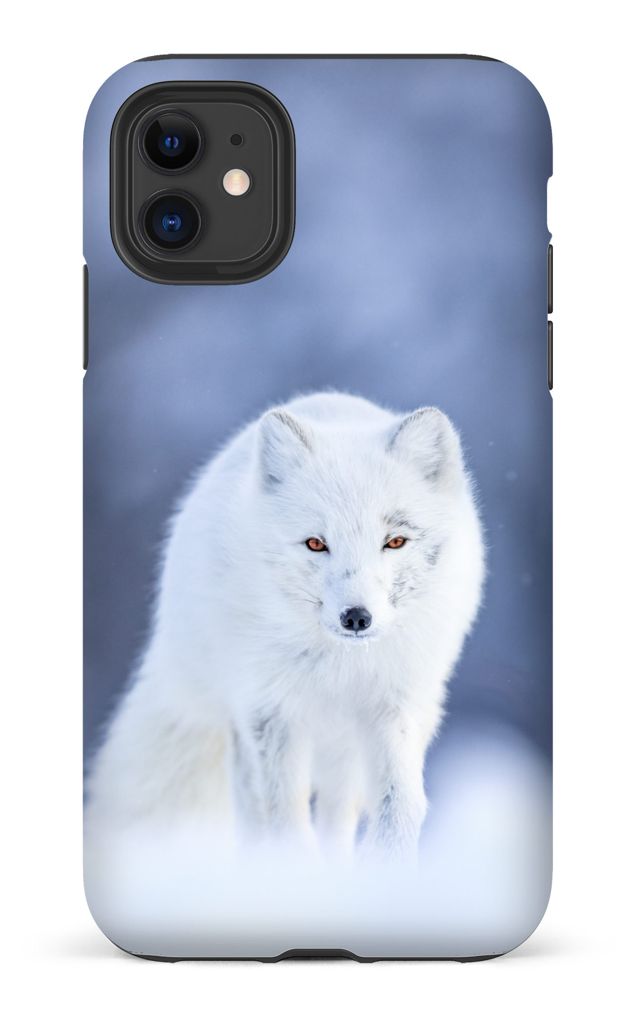 Arctique