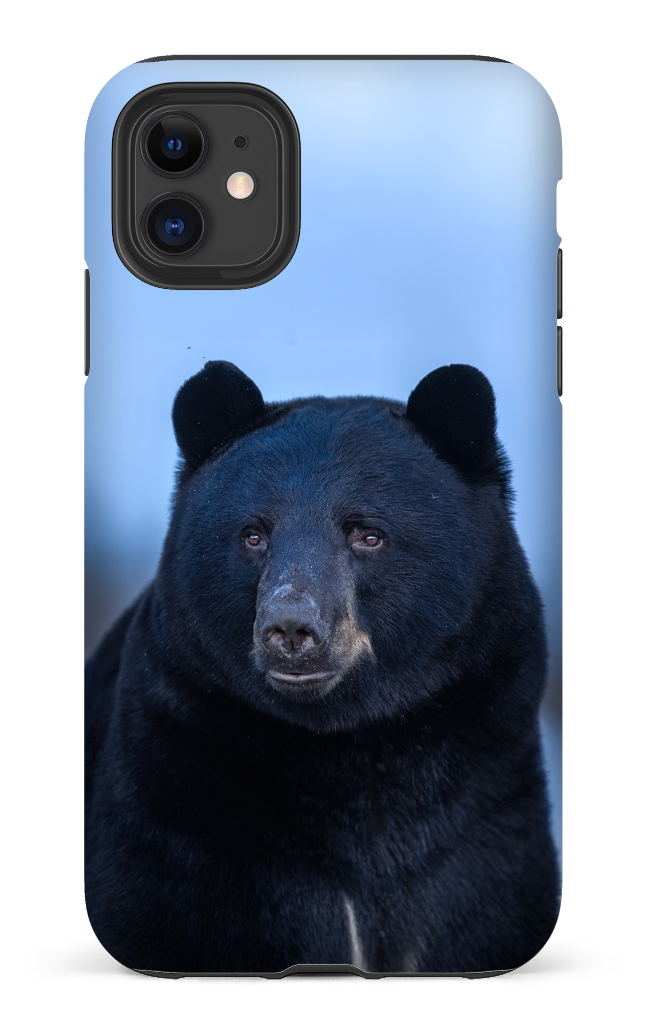 Ours bleu