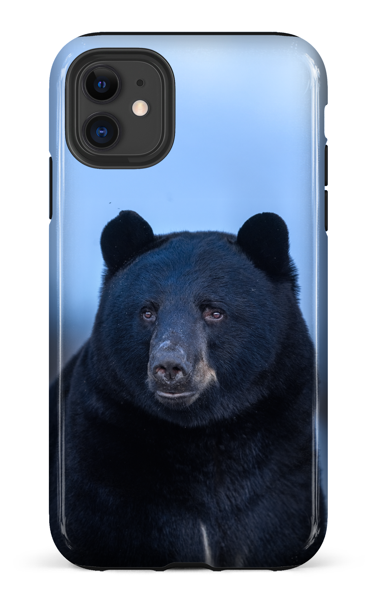 Ours bleu