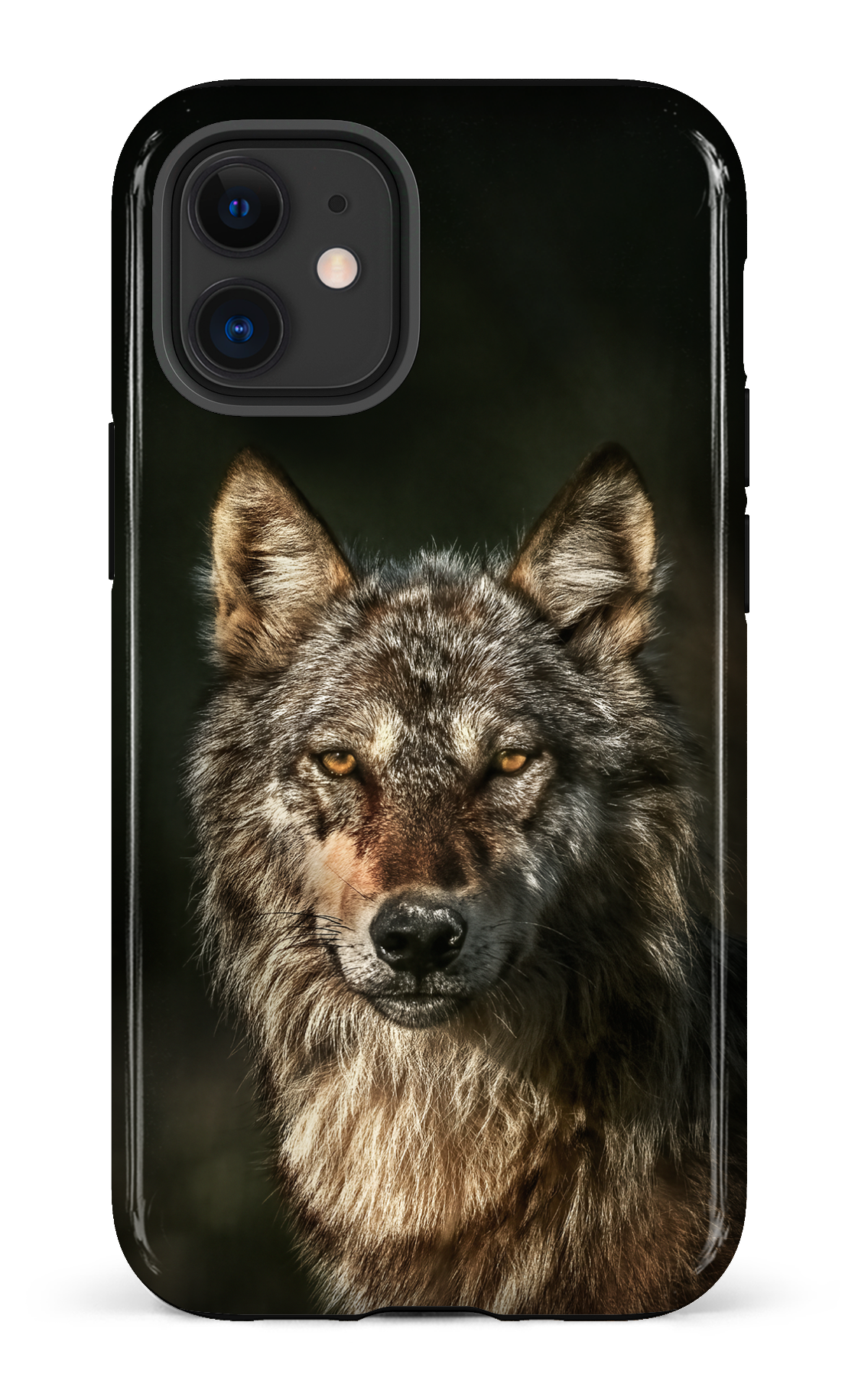 Loups