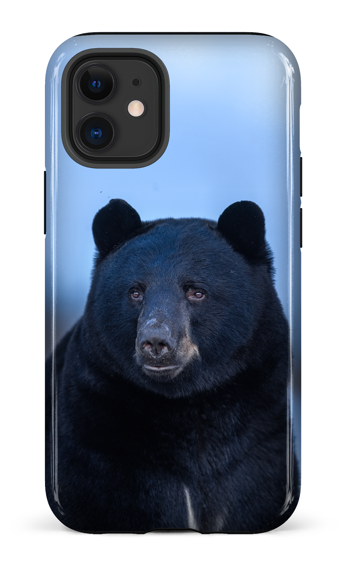 Ours bleu