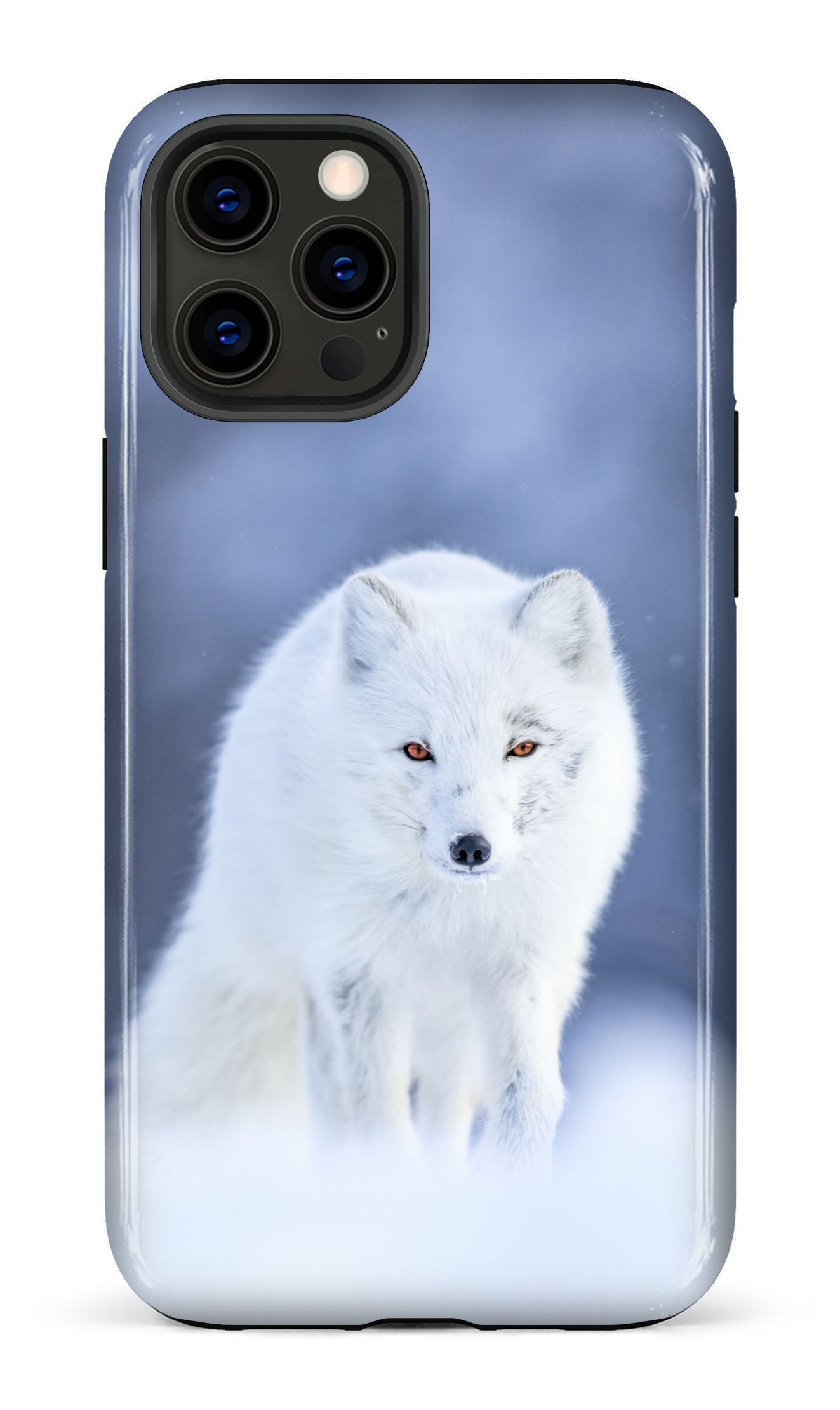Arctique