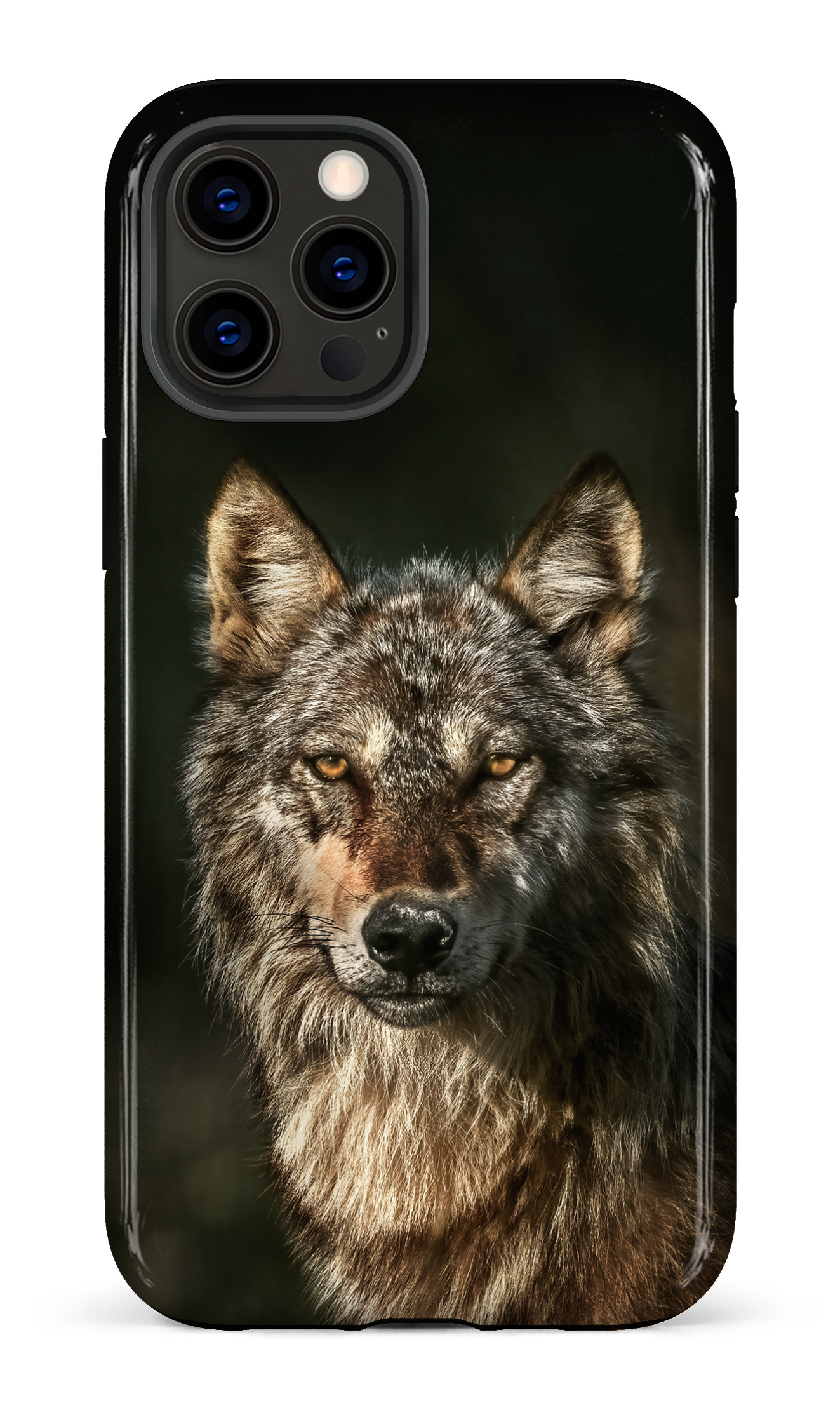 Loups