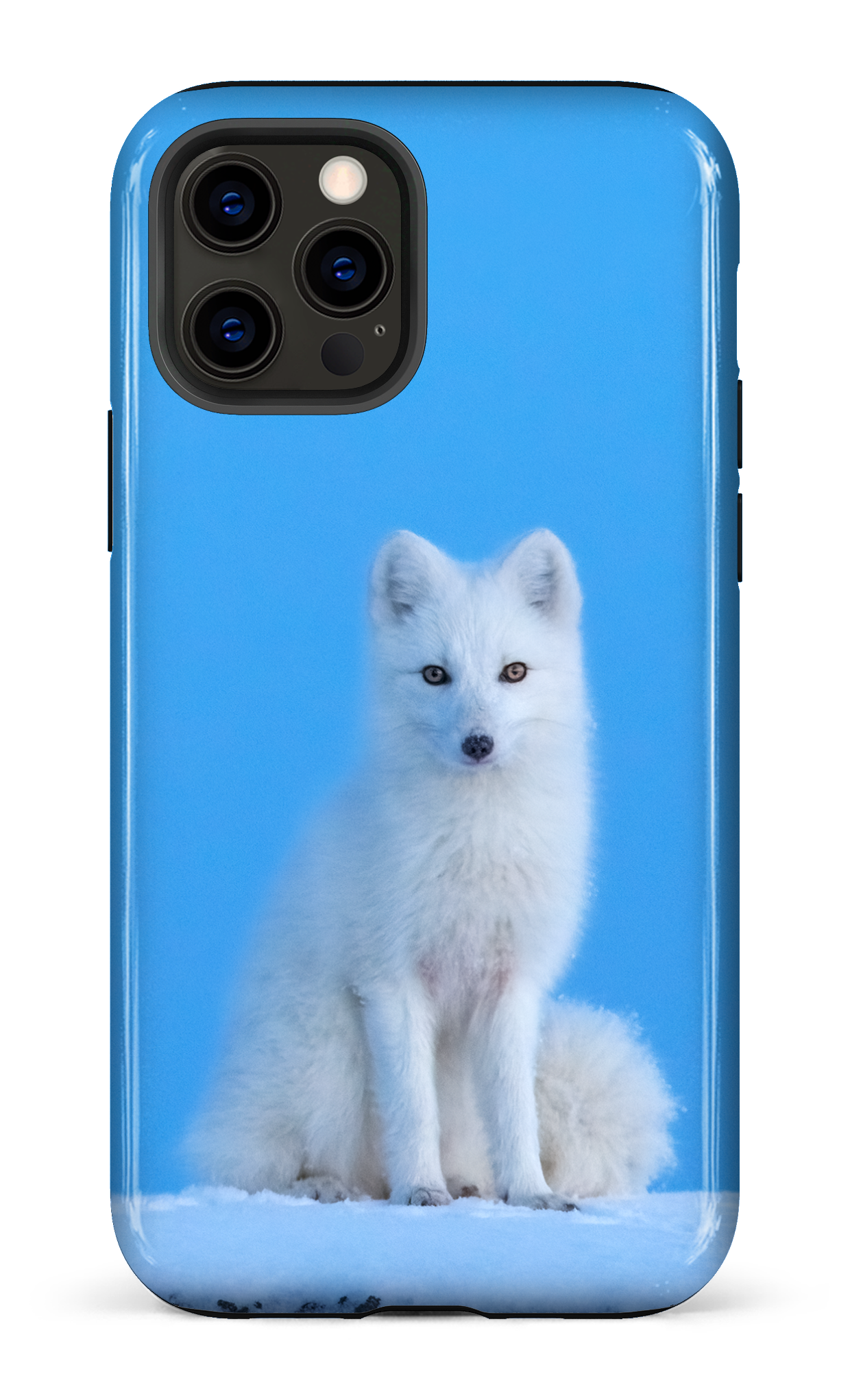 L'heure bleu
