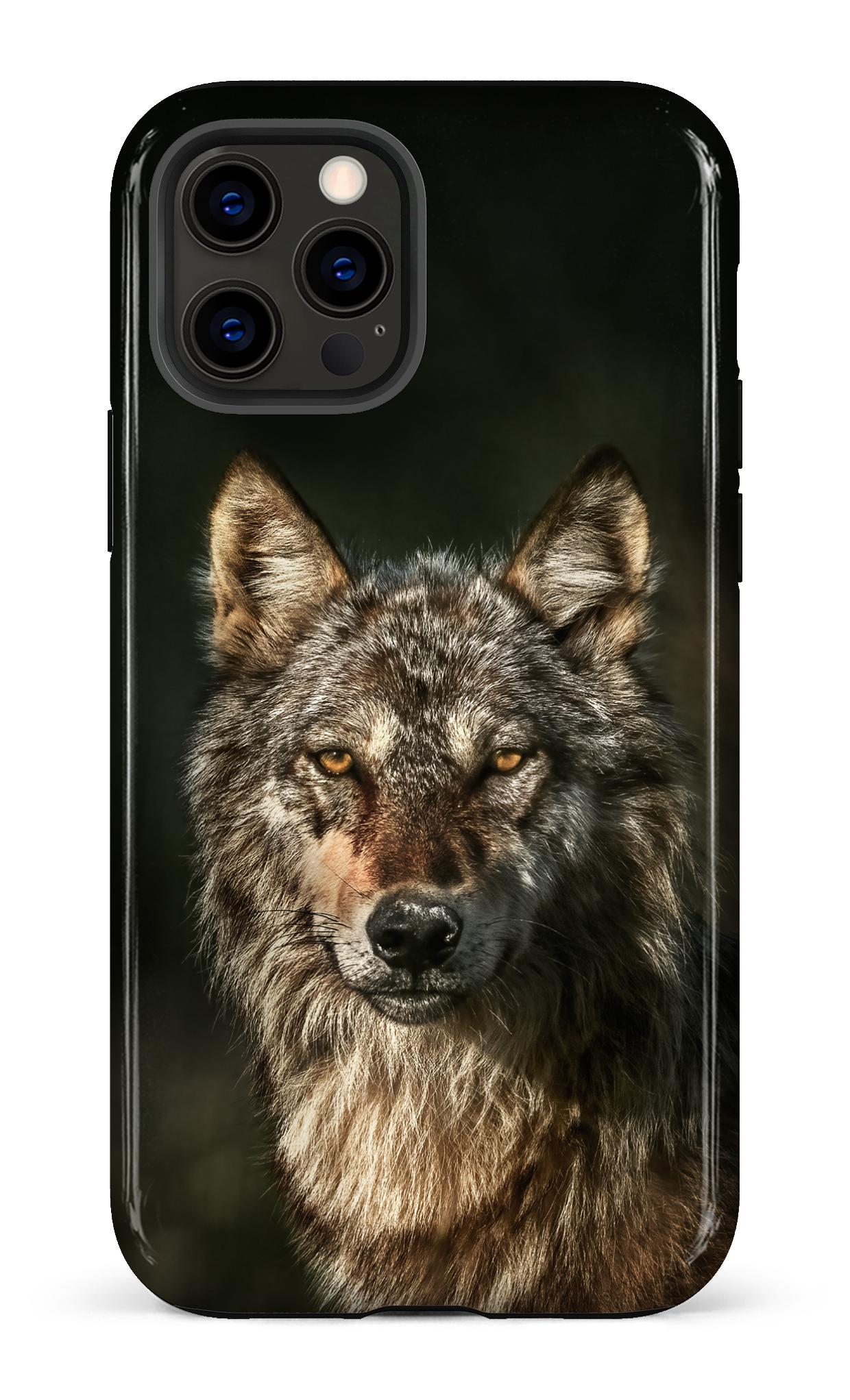 Loups