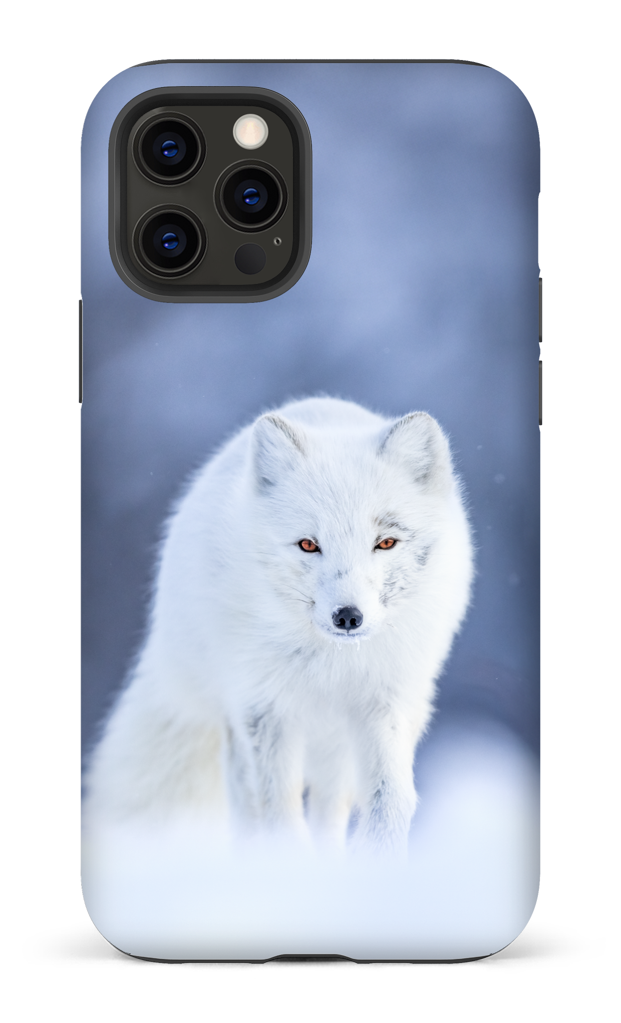 Arctique