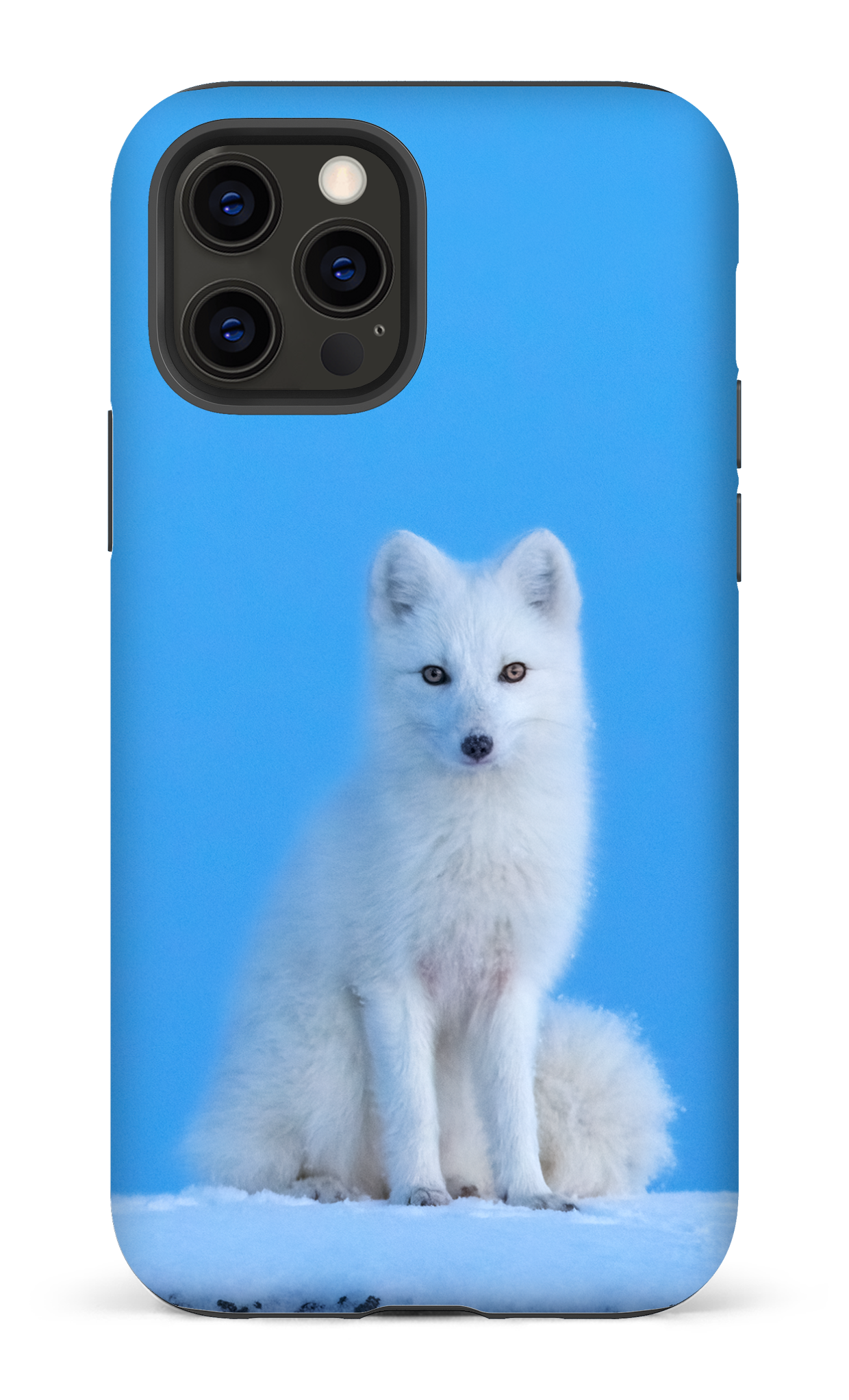 L'heure bleu