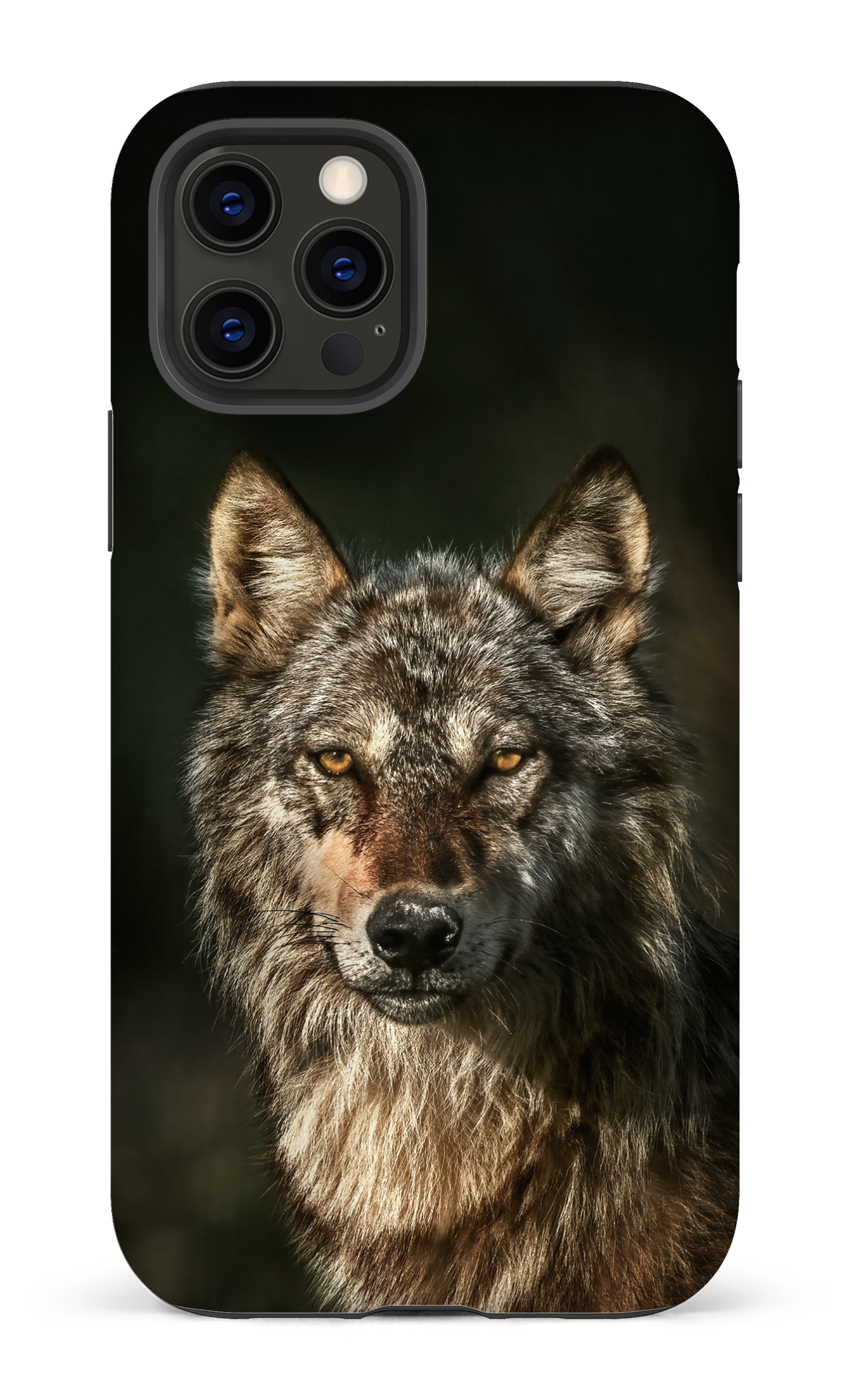 Loups