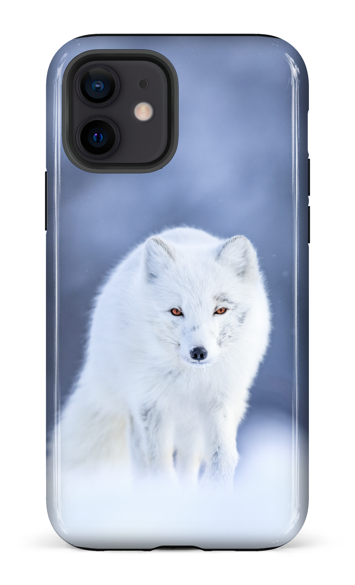 Arctique
