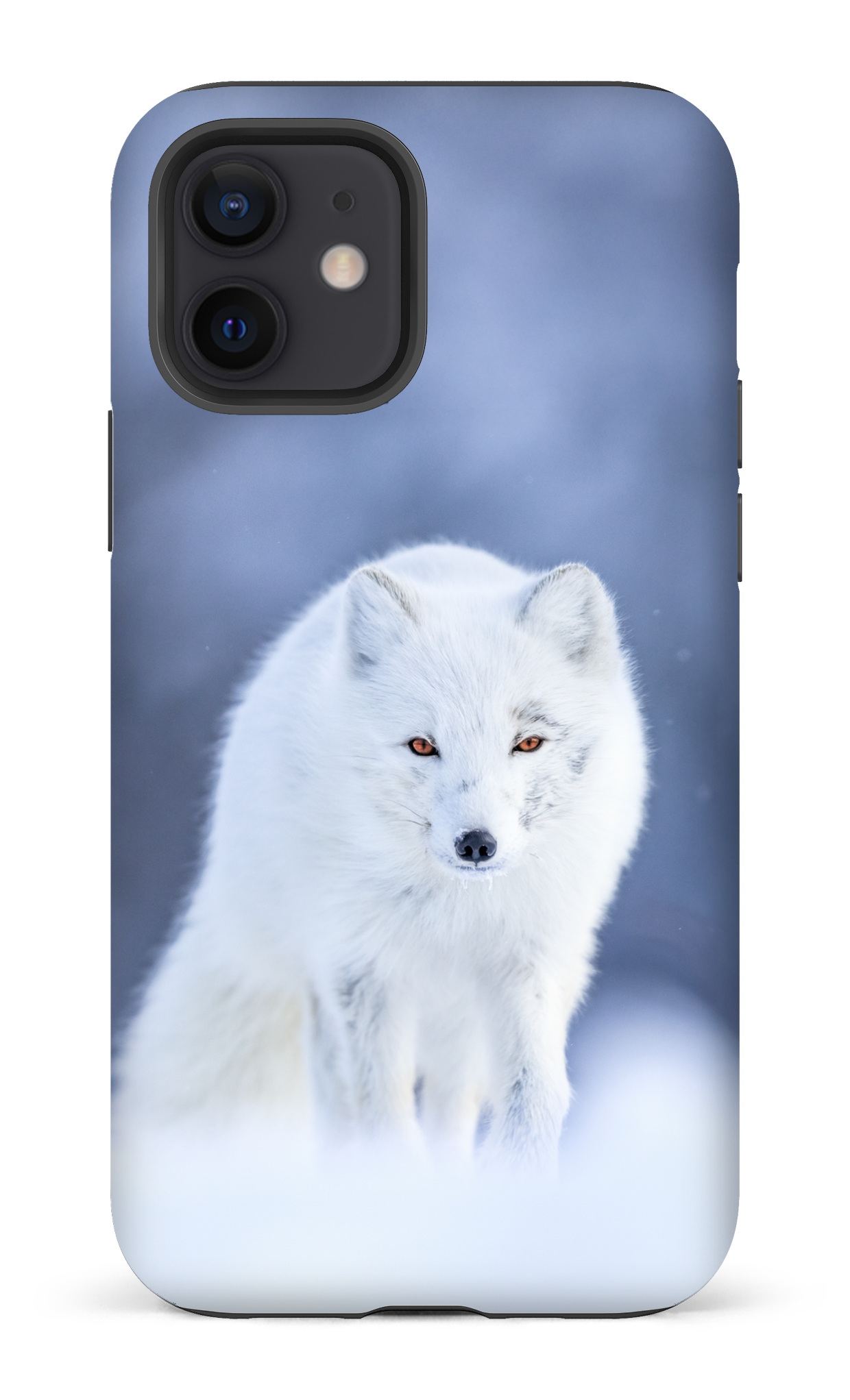 Arctique