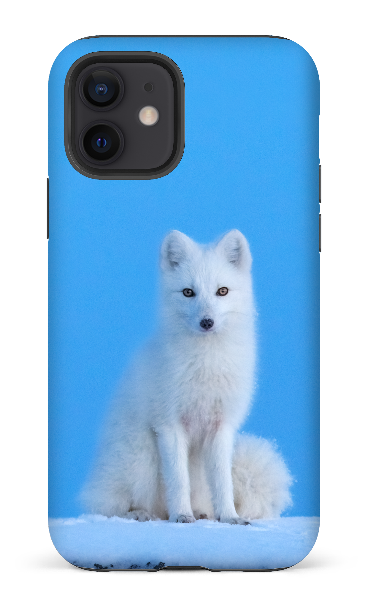L'heure bleu