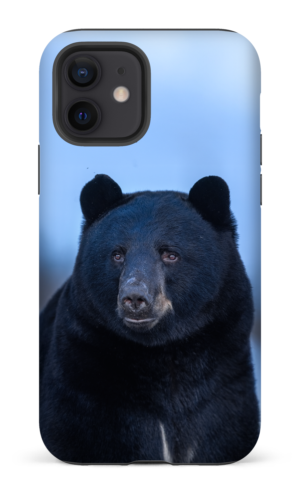 Ours bleu