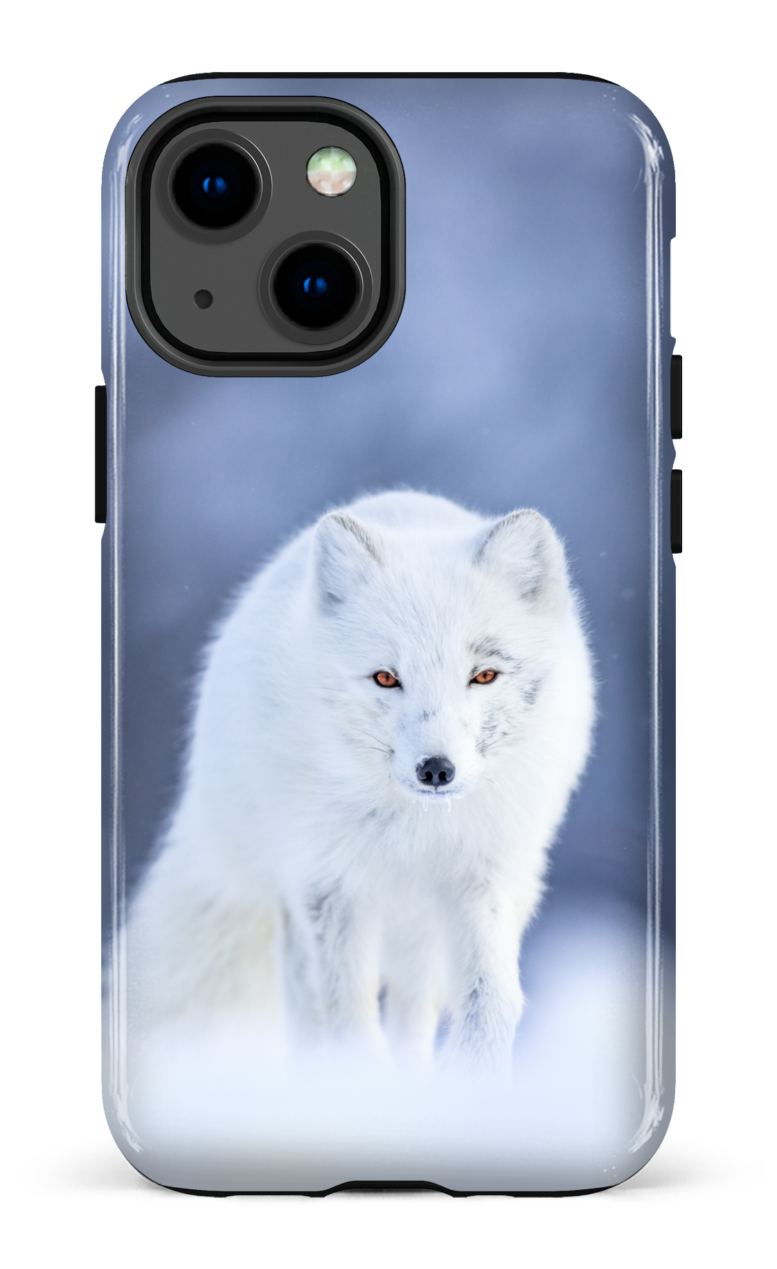 Arctique