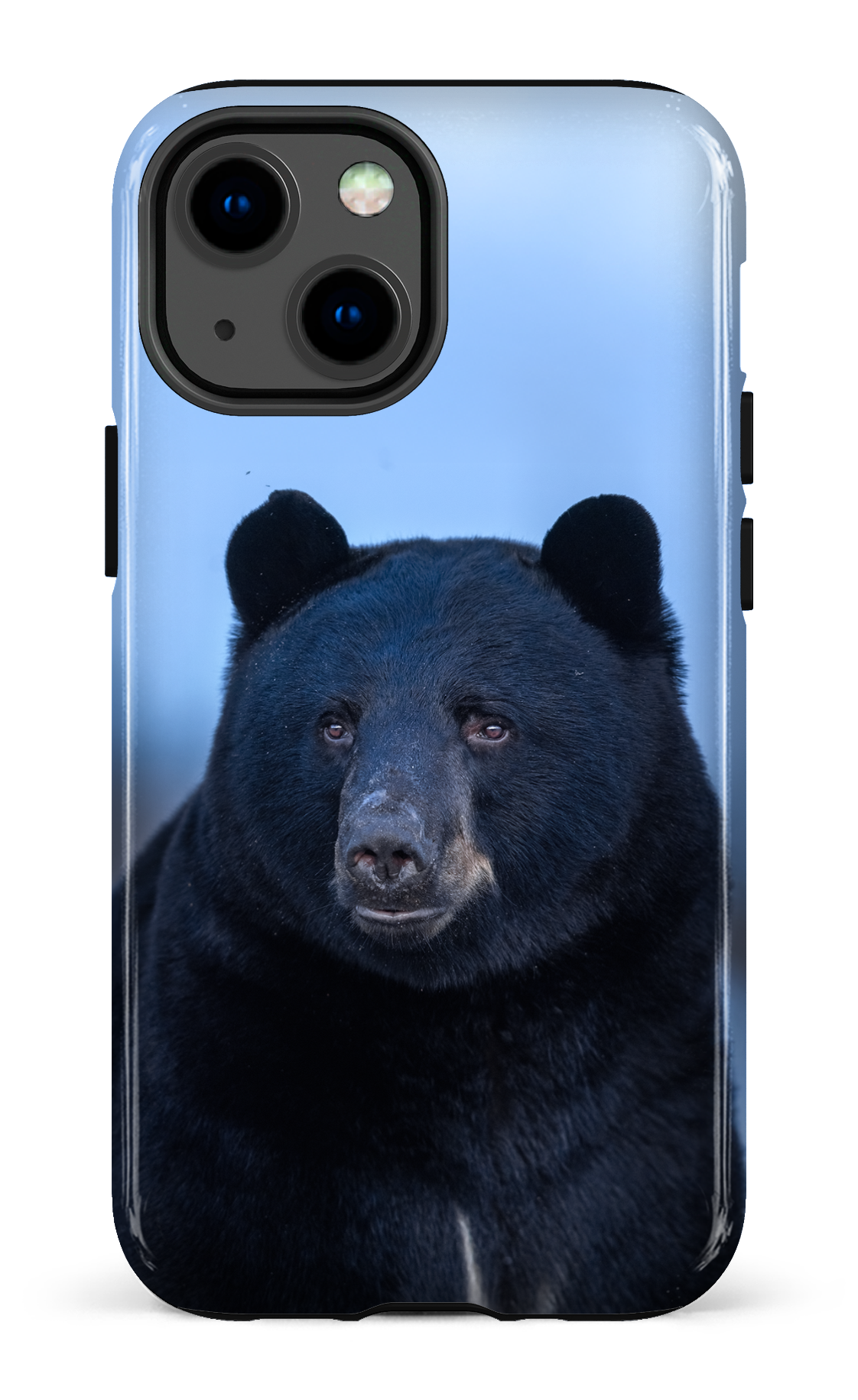 Ours bleu