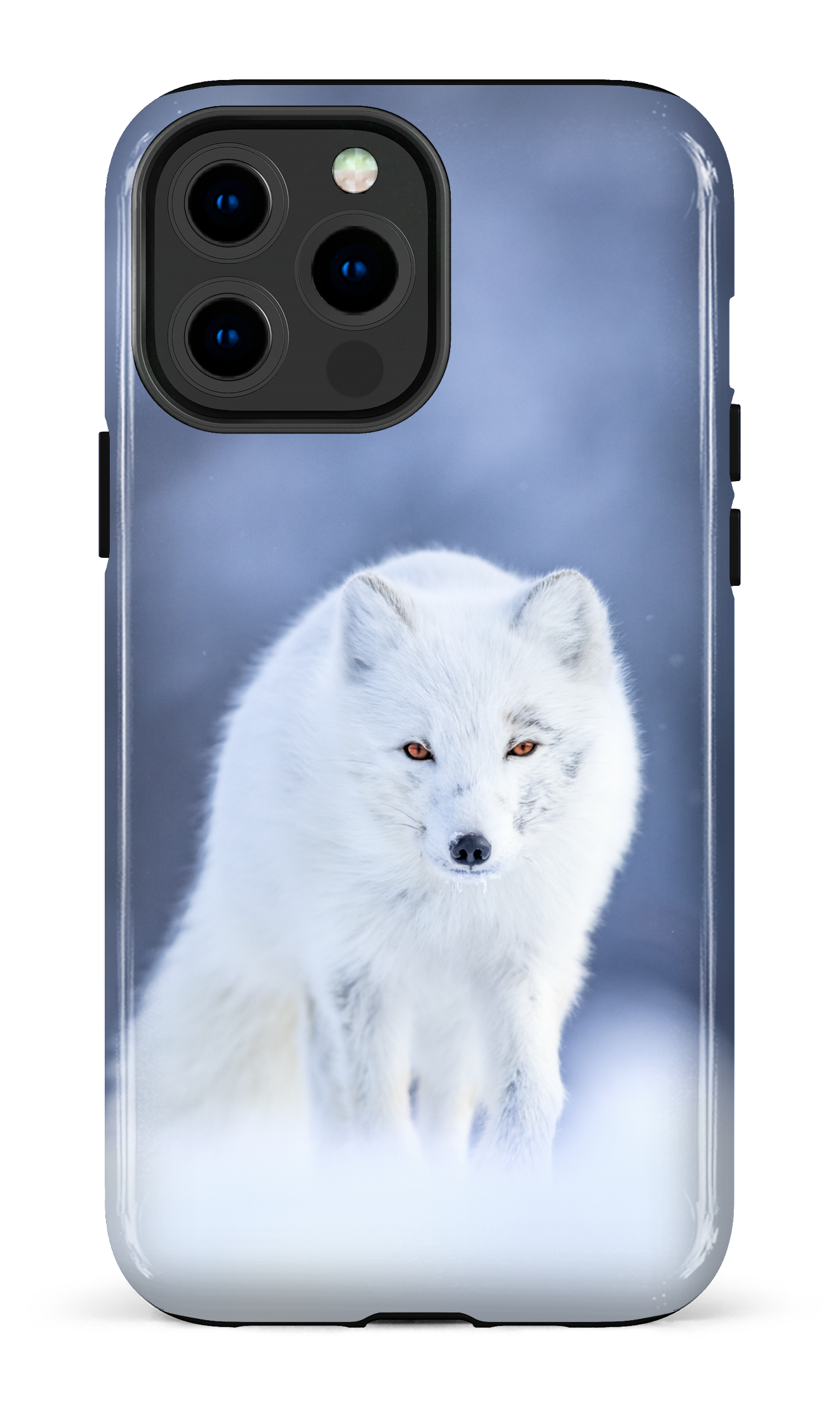 Arctique