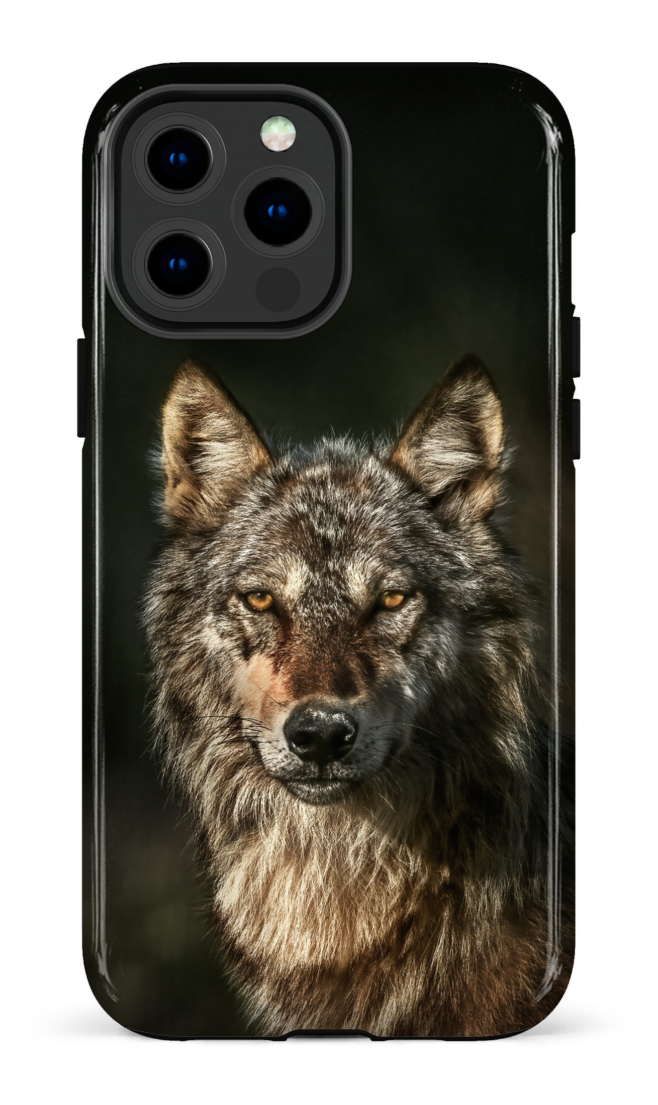 Loups