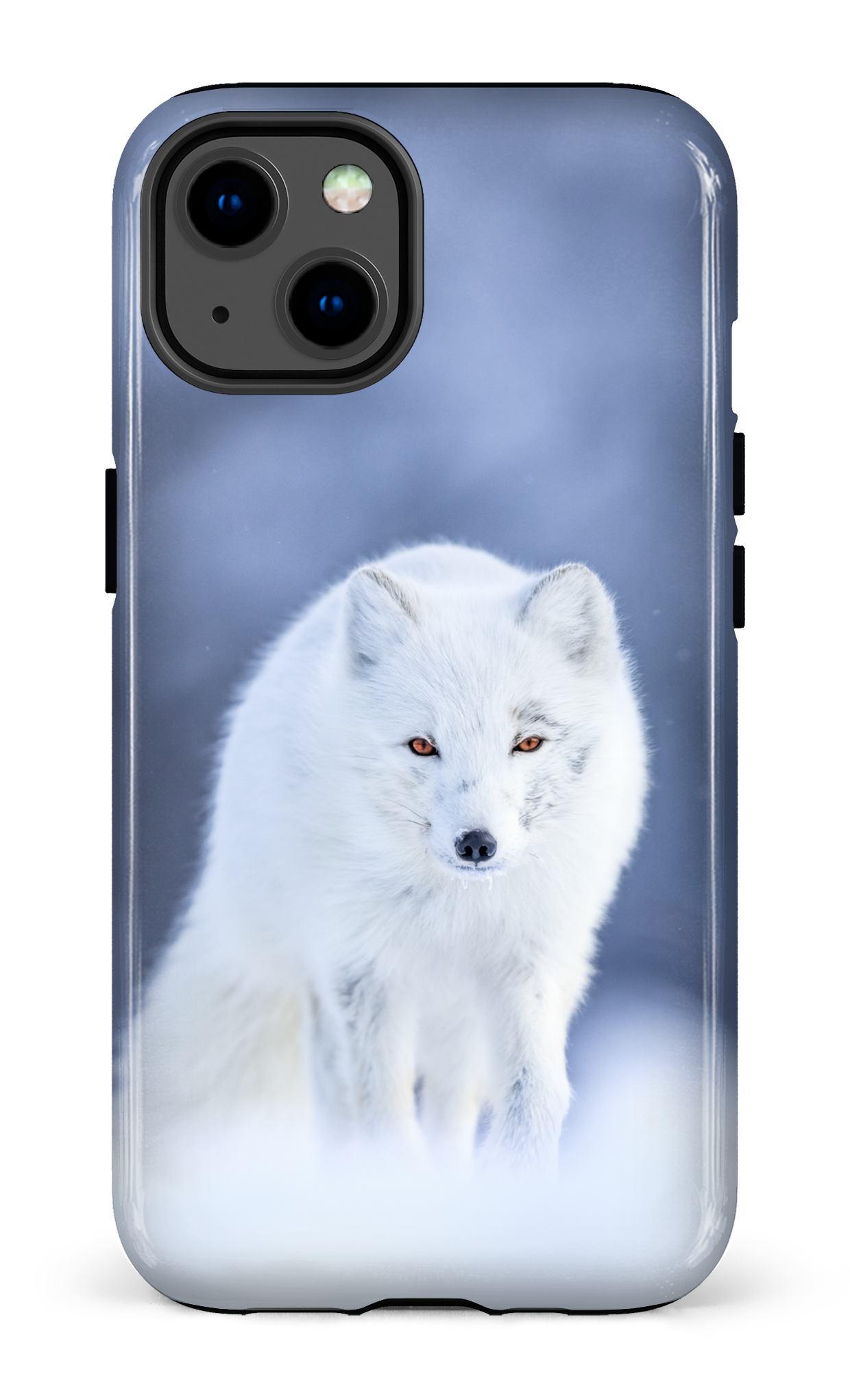 Arctique