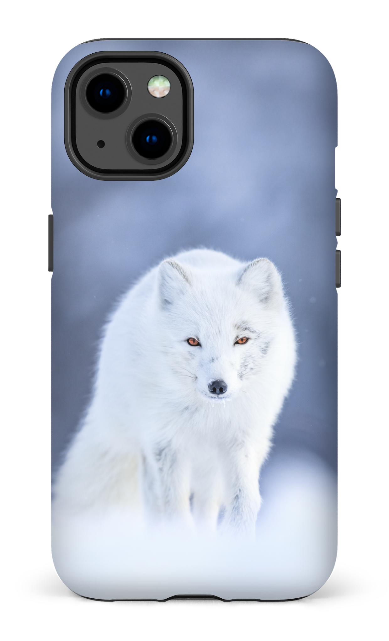 Arctique